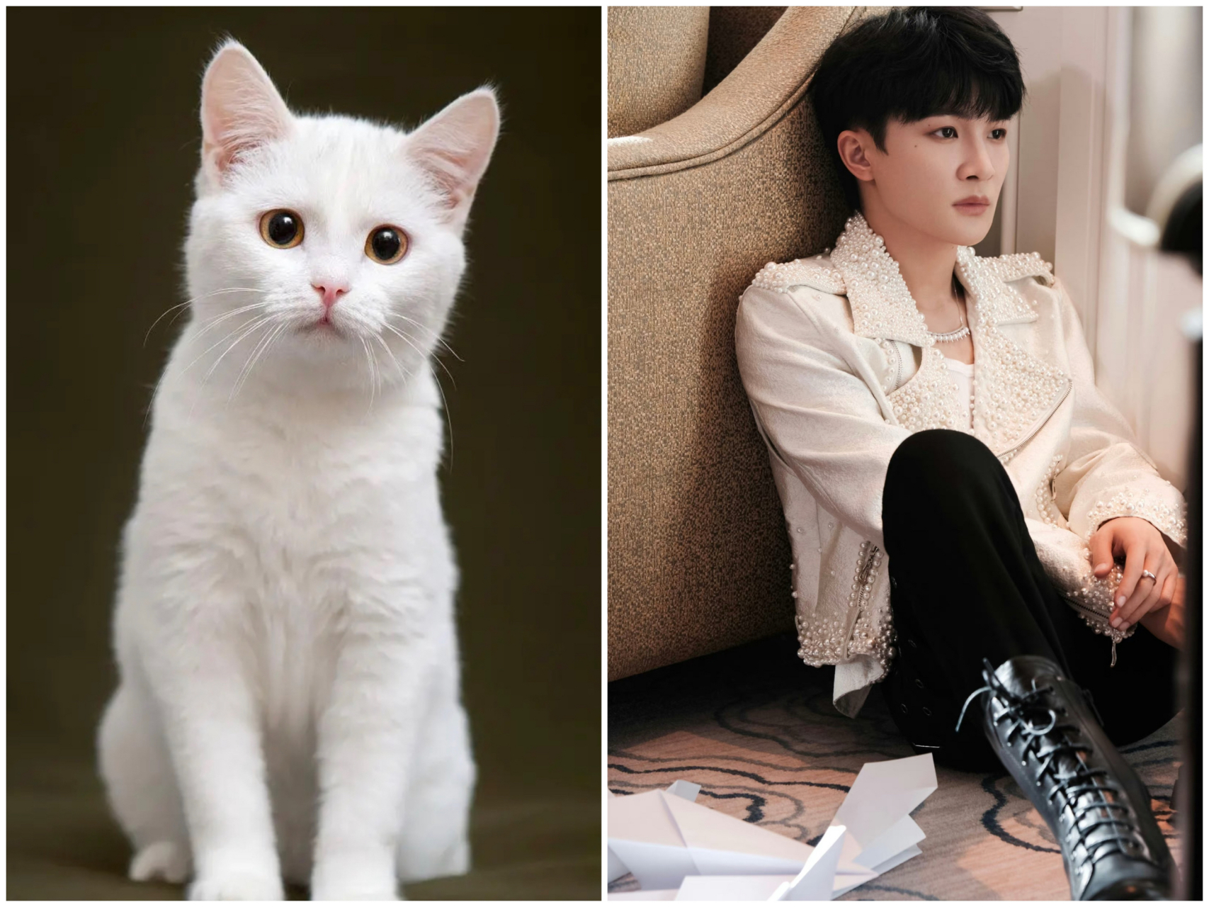 周深# 哈哈,周深真的是个反差萌