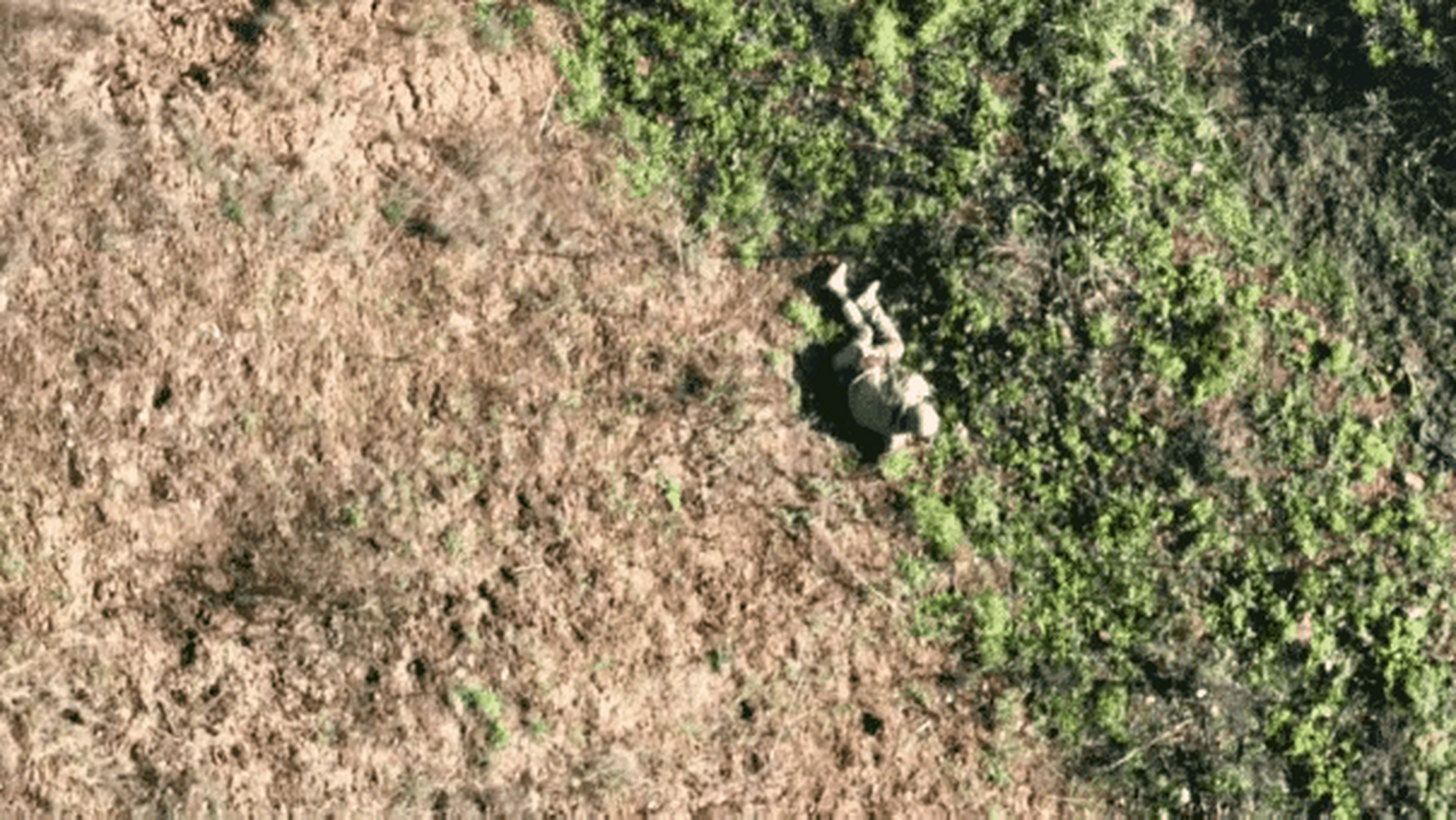 战争面前,人如"蝼蚁"一般渺小,可见科技兴国之重要.