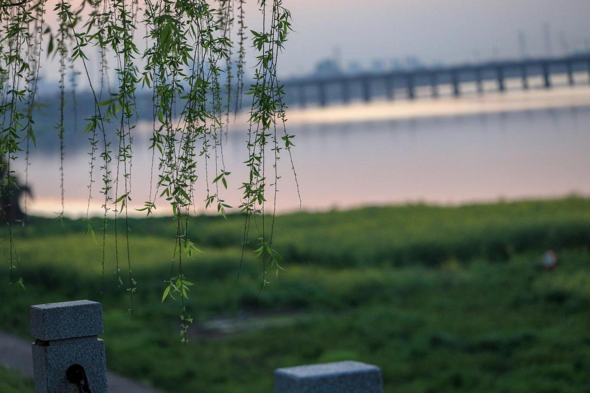 《春日》 【宋】汪藻 一春略无十日晴,处处浮云将雨行.