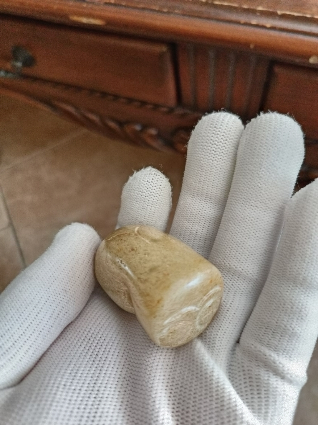 红山玉蚕