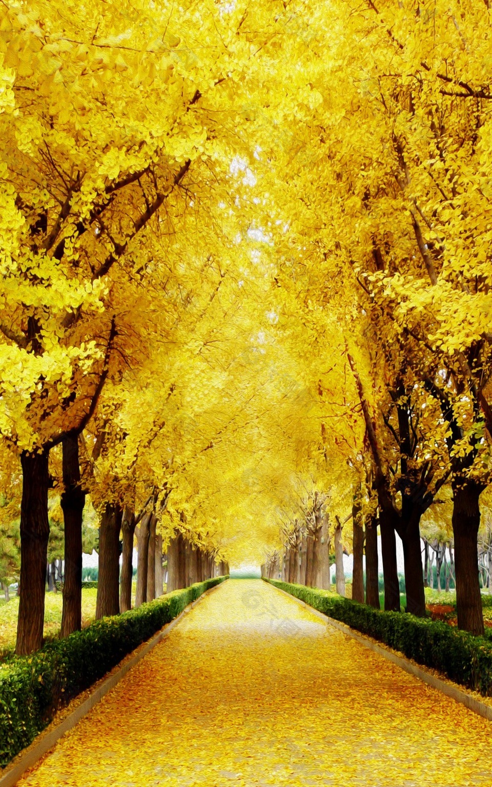 路阳光照下金黄色的路图片太阳宽阔大路唯美图片饰颐鞘璧墓龉龀德 