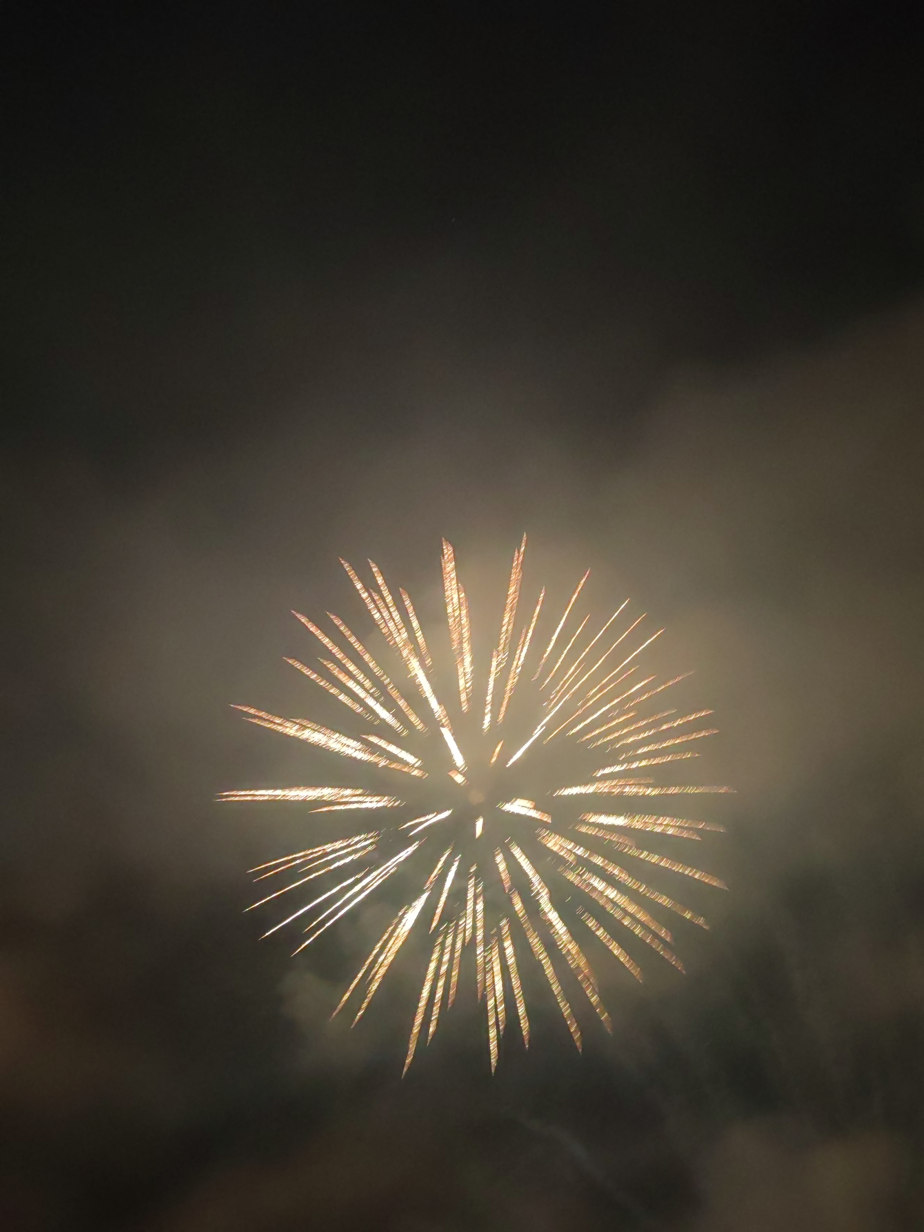 大年三十烟花图片图片