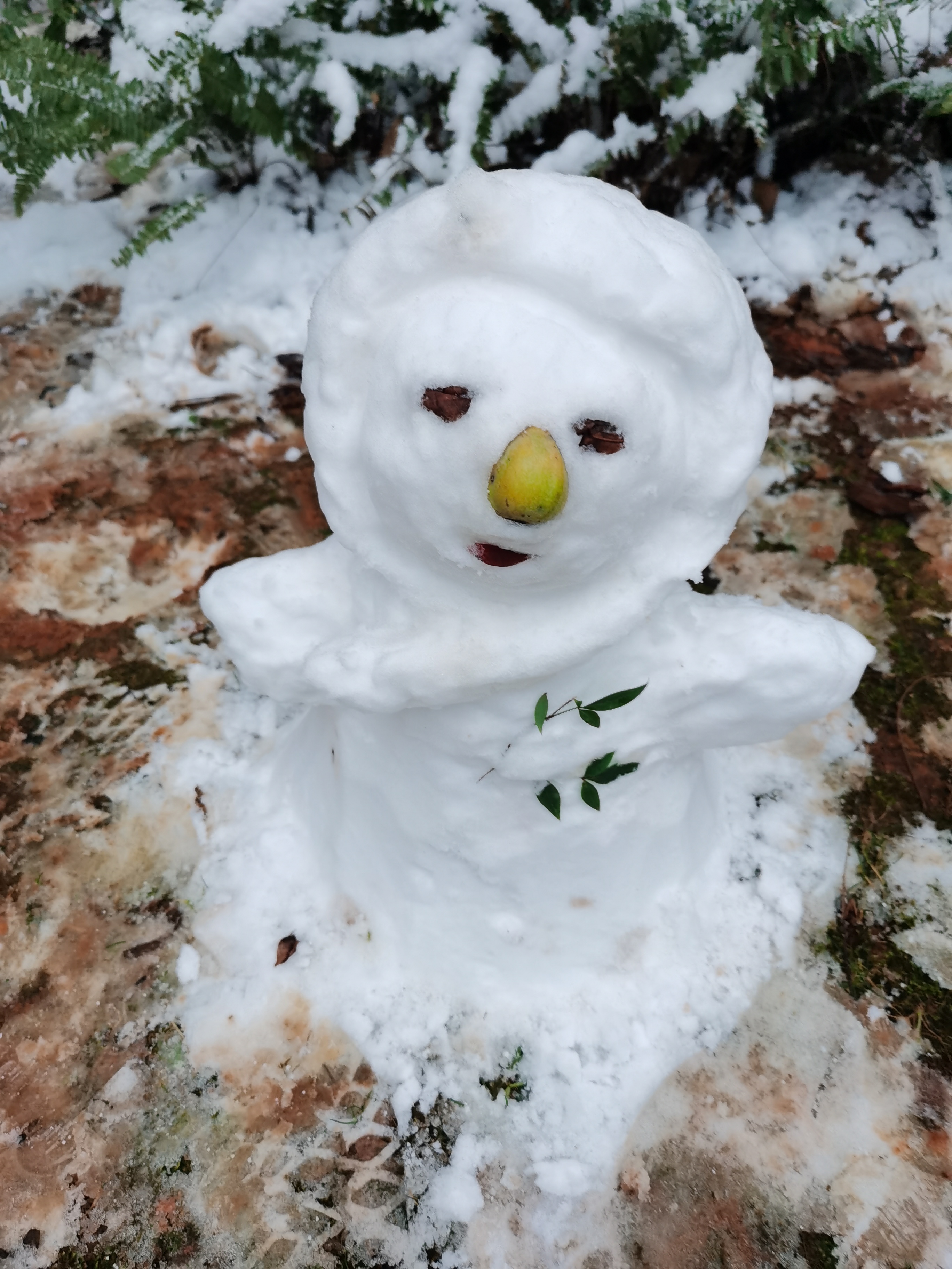 堆雪人图片真实图片