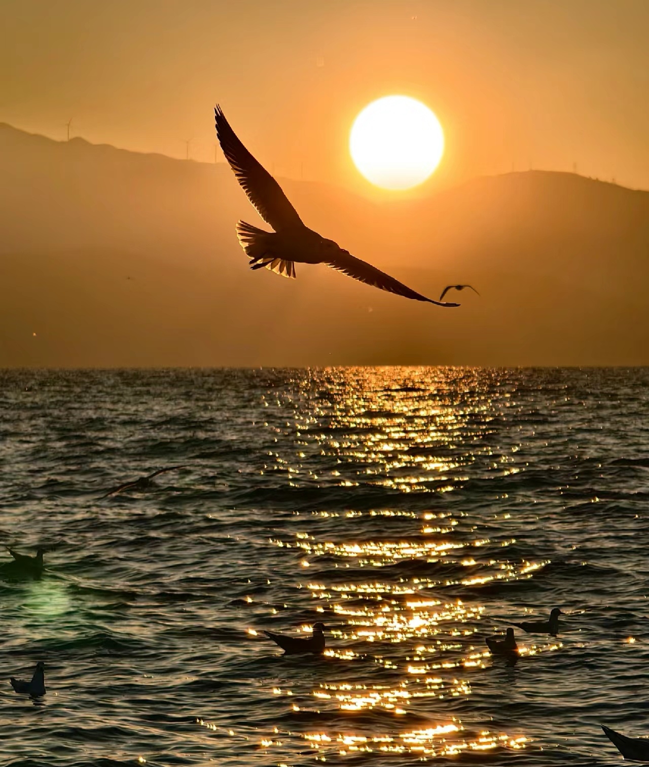 《傍晚的海与海鸥》   傍晚,夕阳的余晖洒在海面上,如诗如画