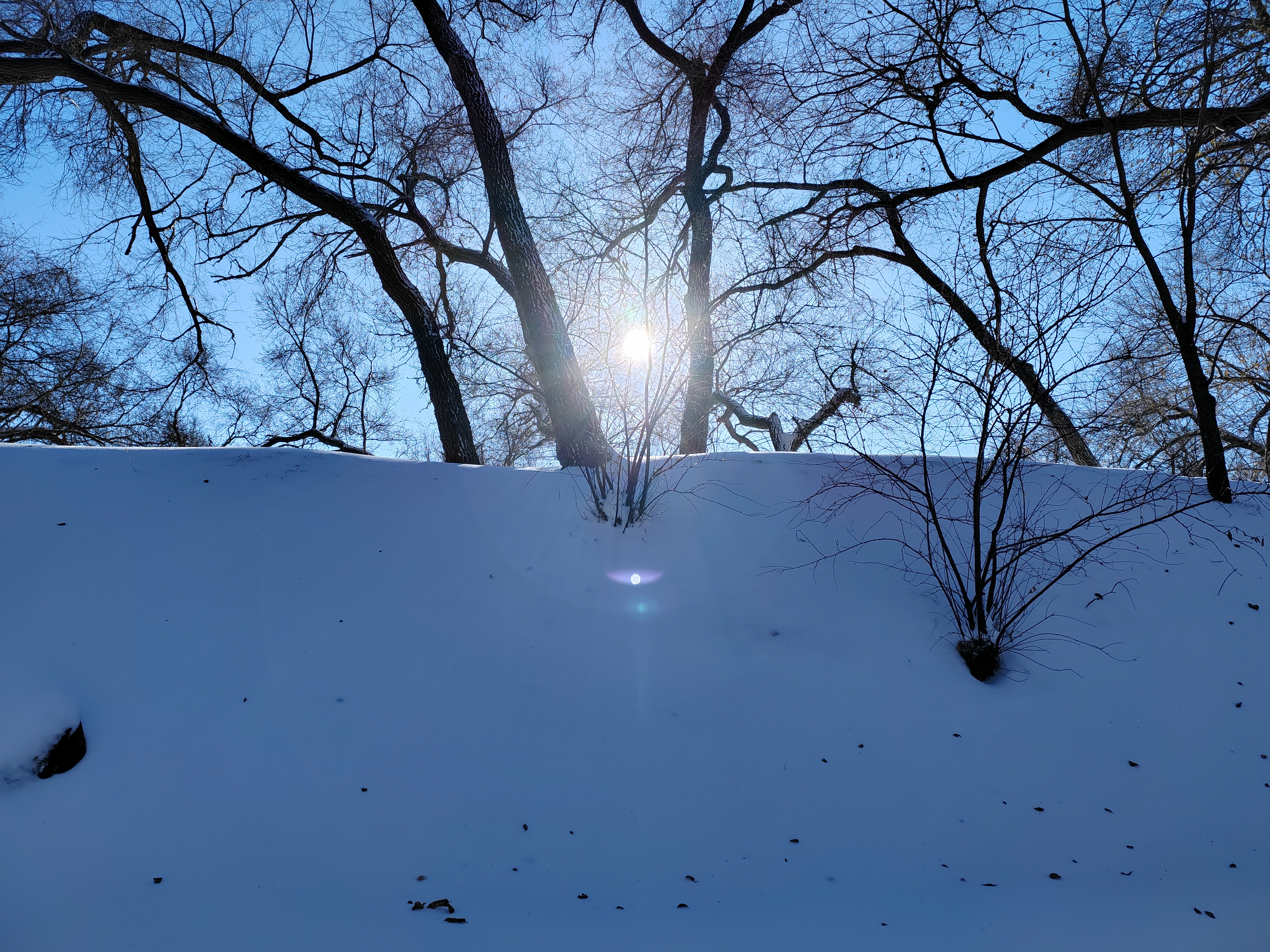 午后的阳光,照在雪地上[太阳]