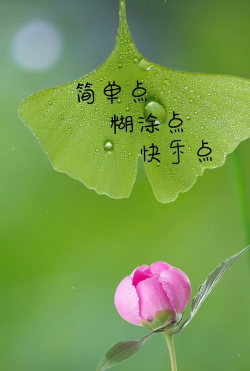 有风听风,有雨看雨 生活并无深意 幸福就藏在日常里​