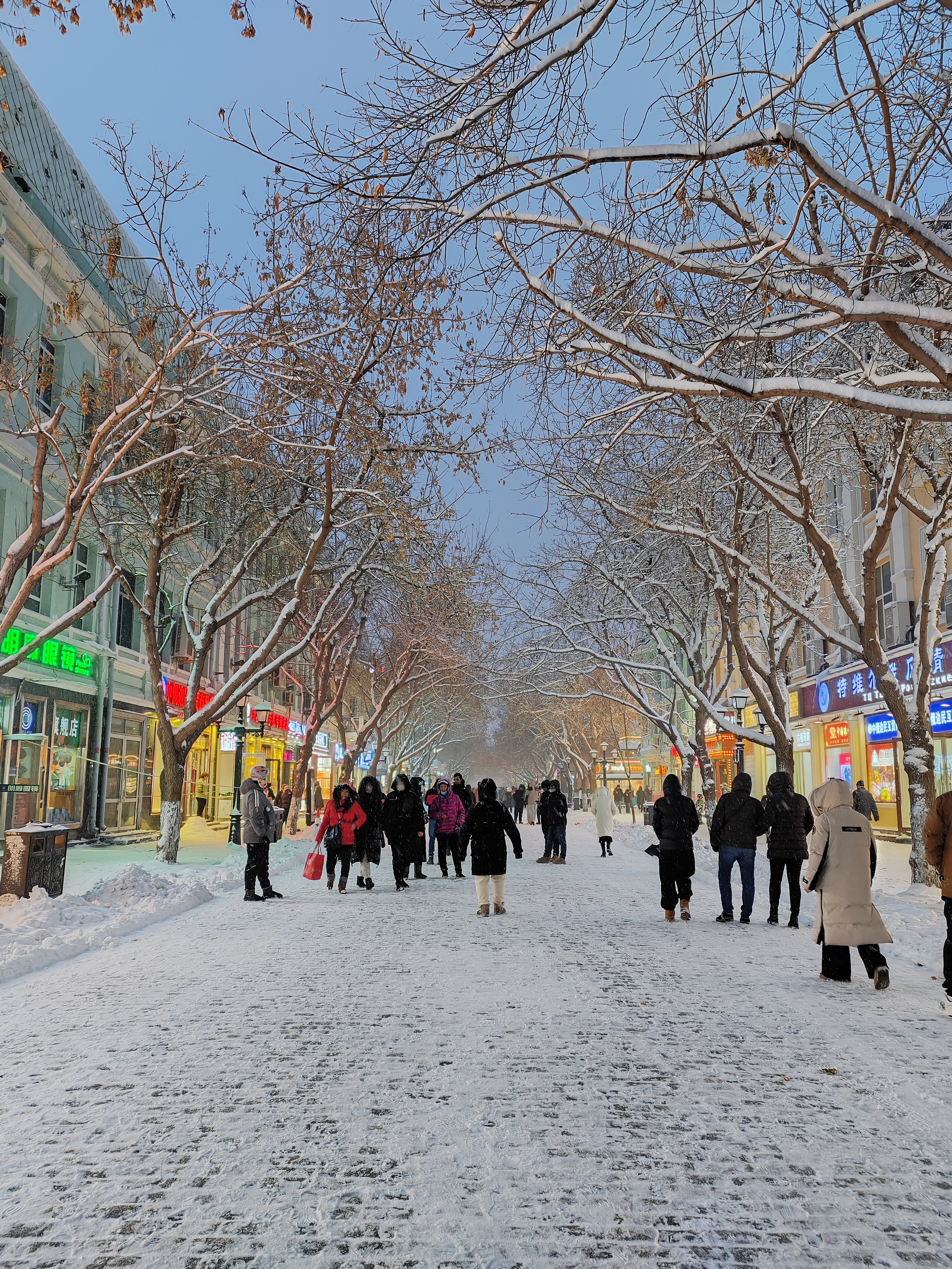 哈尔滨下雪图片真实图片