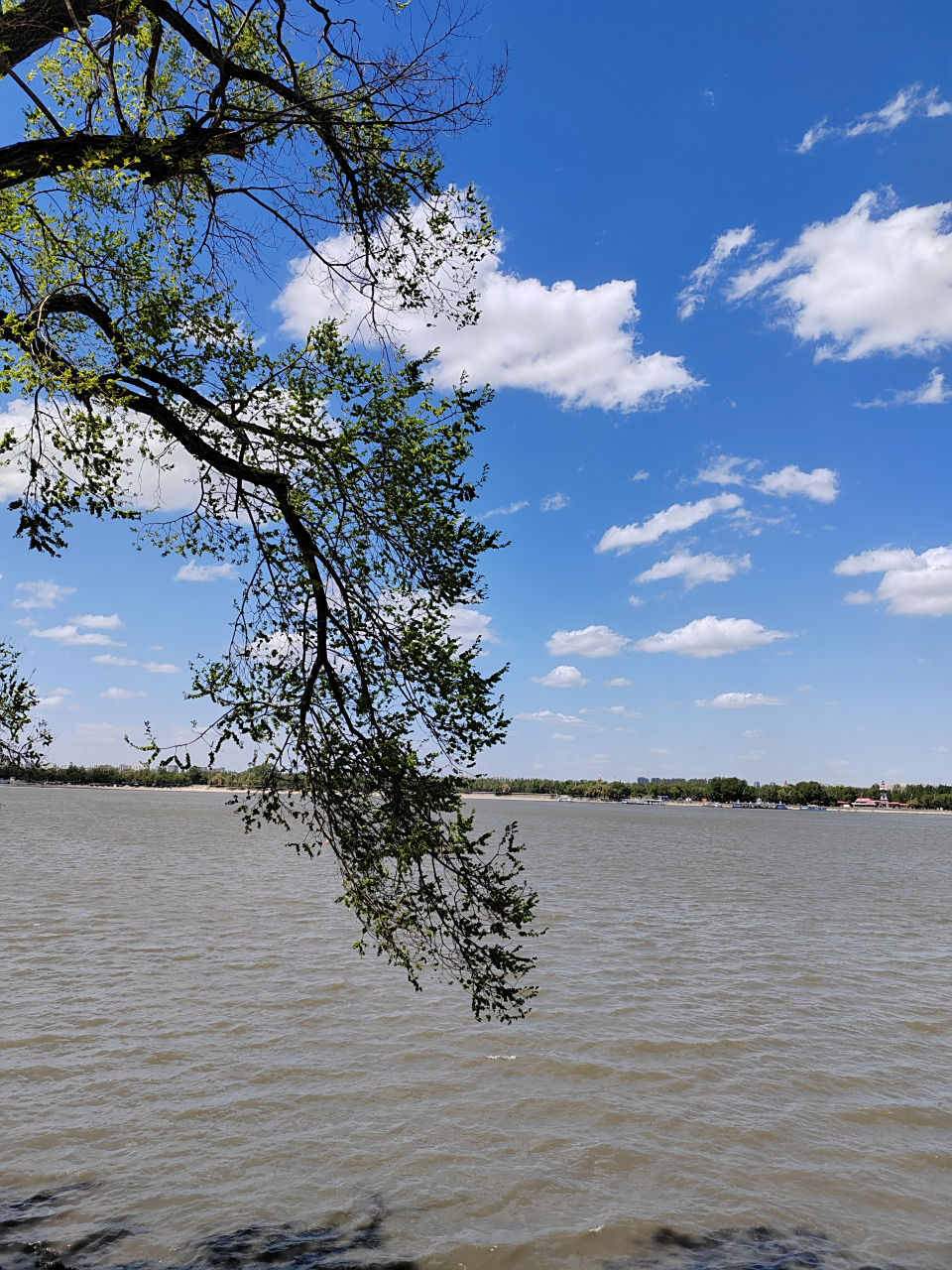 我喜欢心思散漫地看着天空.  |萩原朔太郎《吠月》 676767