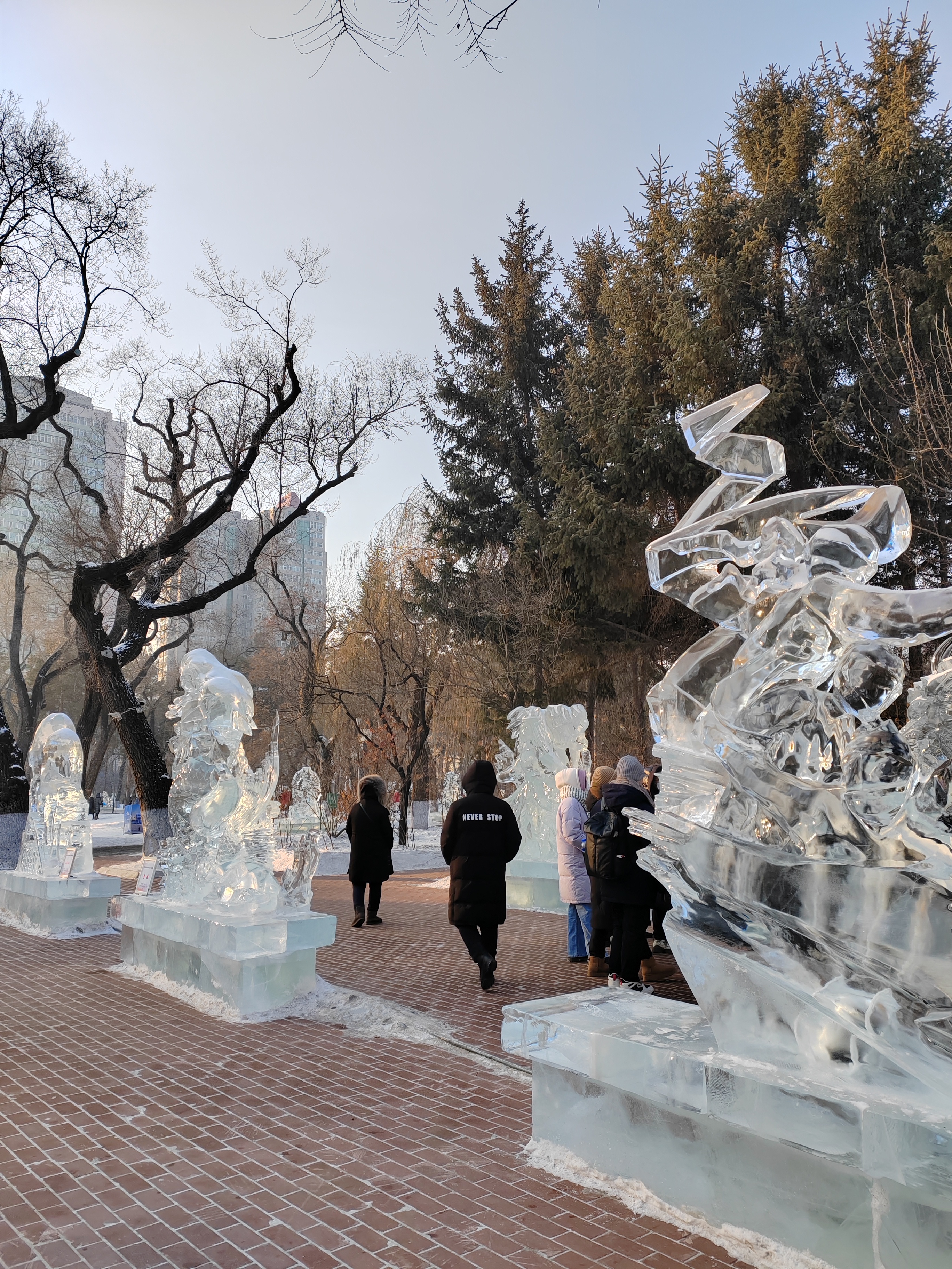 哈尔滨爆火出圈的一年,这也是我第一年去看了冰灯展,而且陆续去了三次