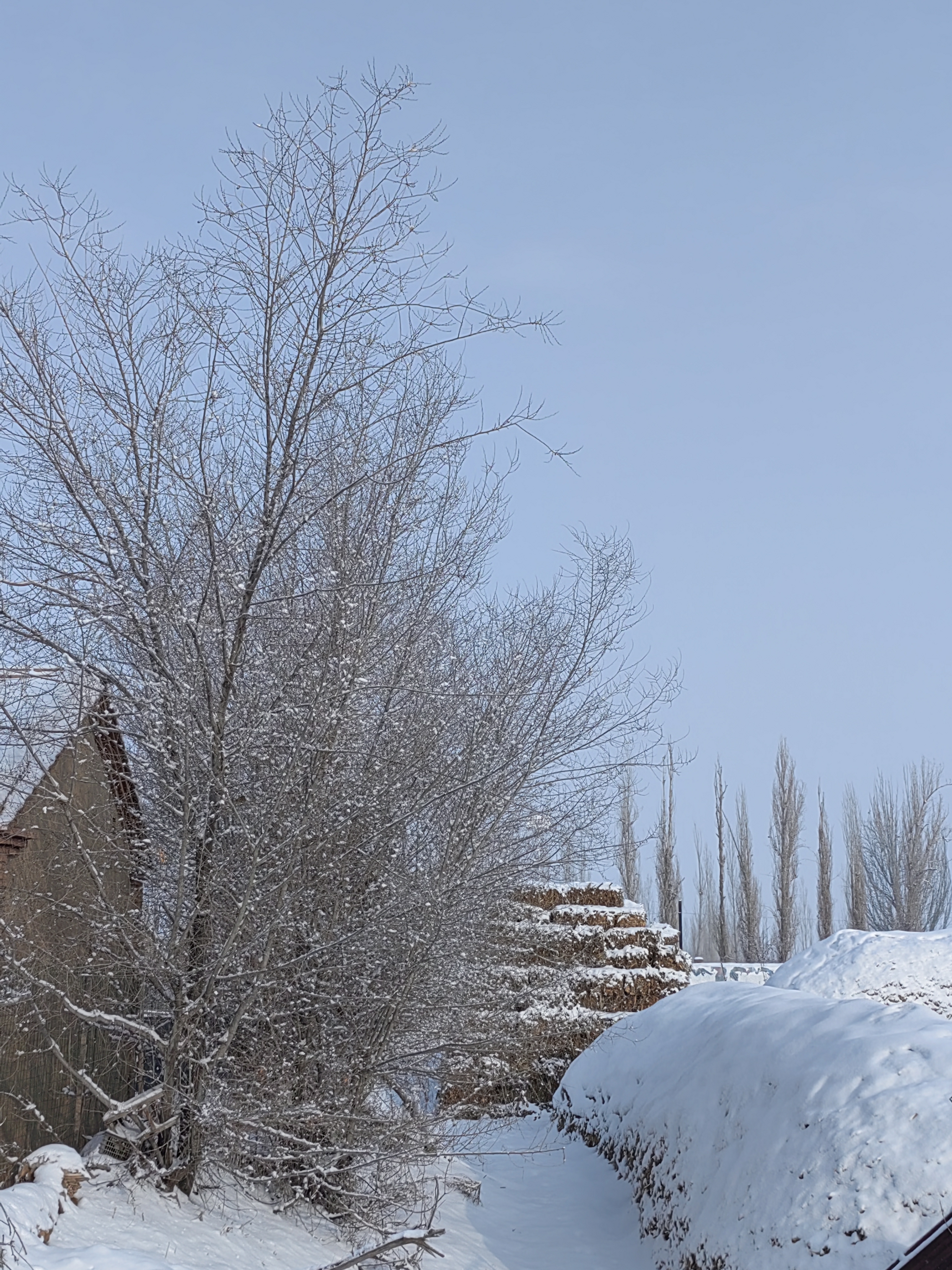 乡村小雪纷纷图片图片