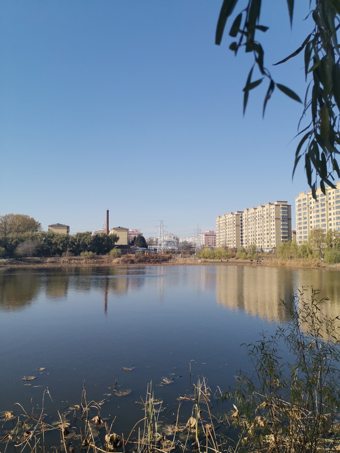 秋季东湖公园随拍