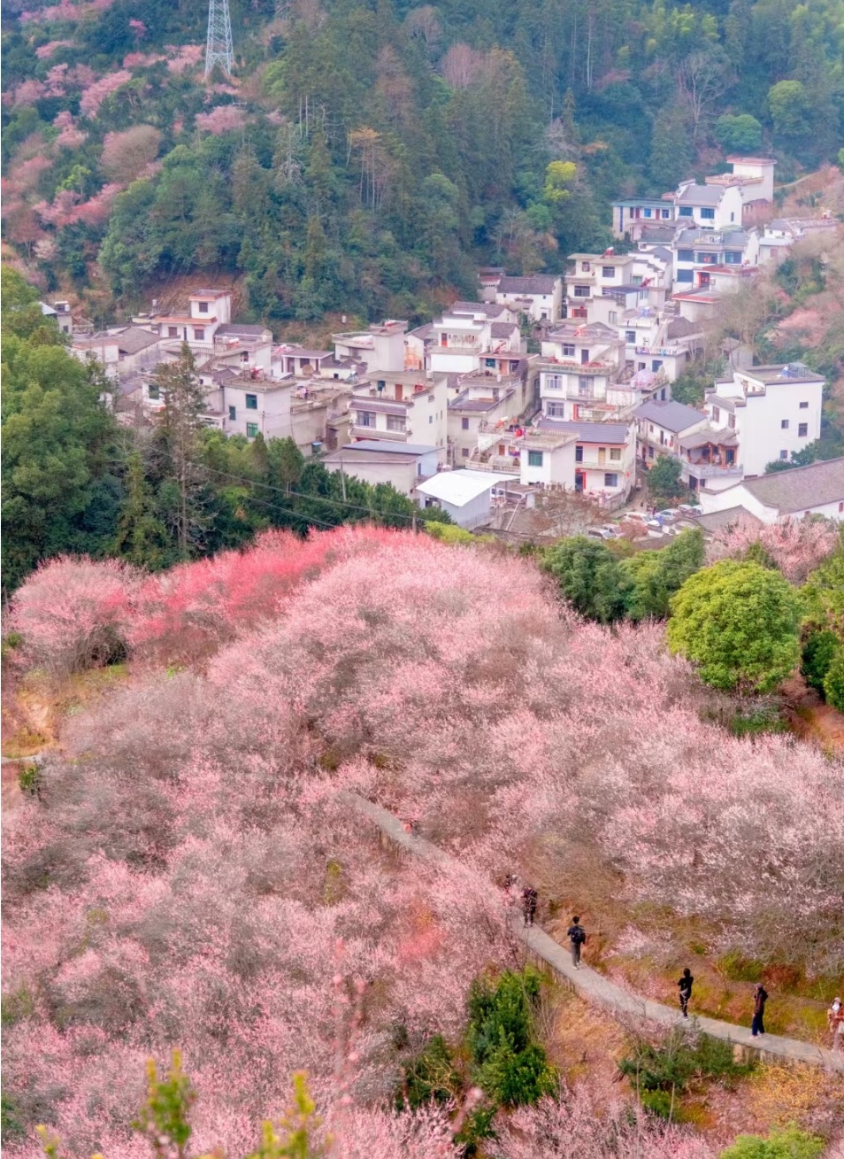 歙县卖花渔村住宿图片