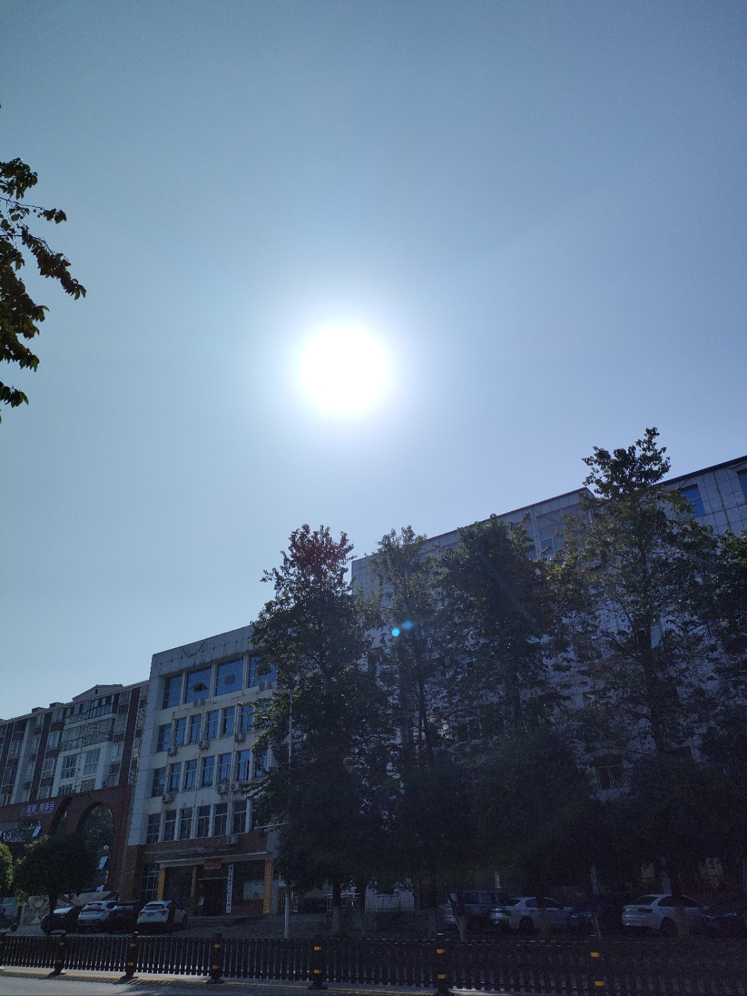 太阳当空照,街上树荫下,行人匆匆忙忙