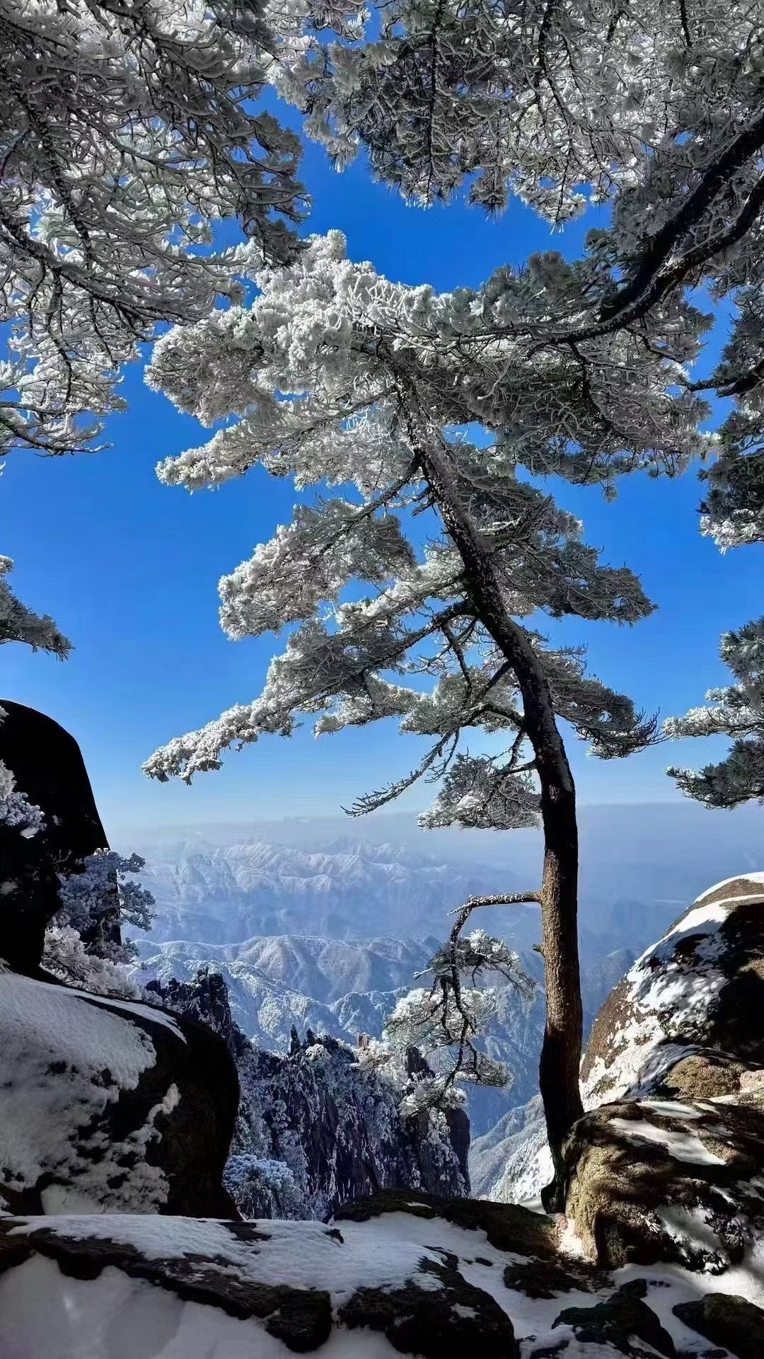 游黄山雪景美篇图片