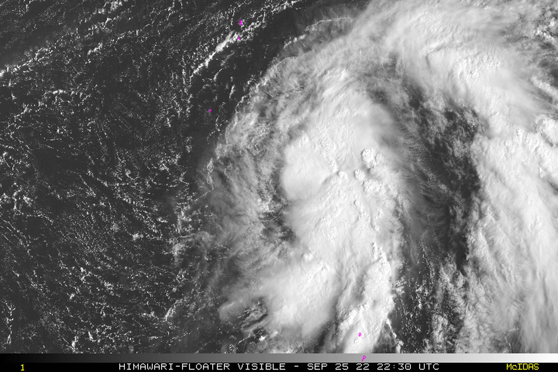 17号台风玫瑰生成# 台风"玫瑰"位于日本以南洋面  今年第17号台风"