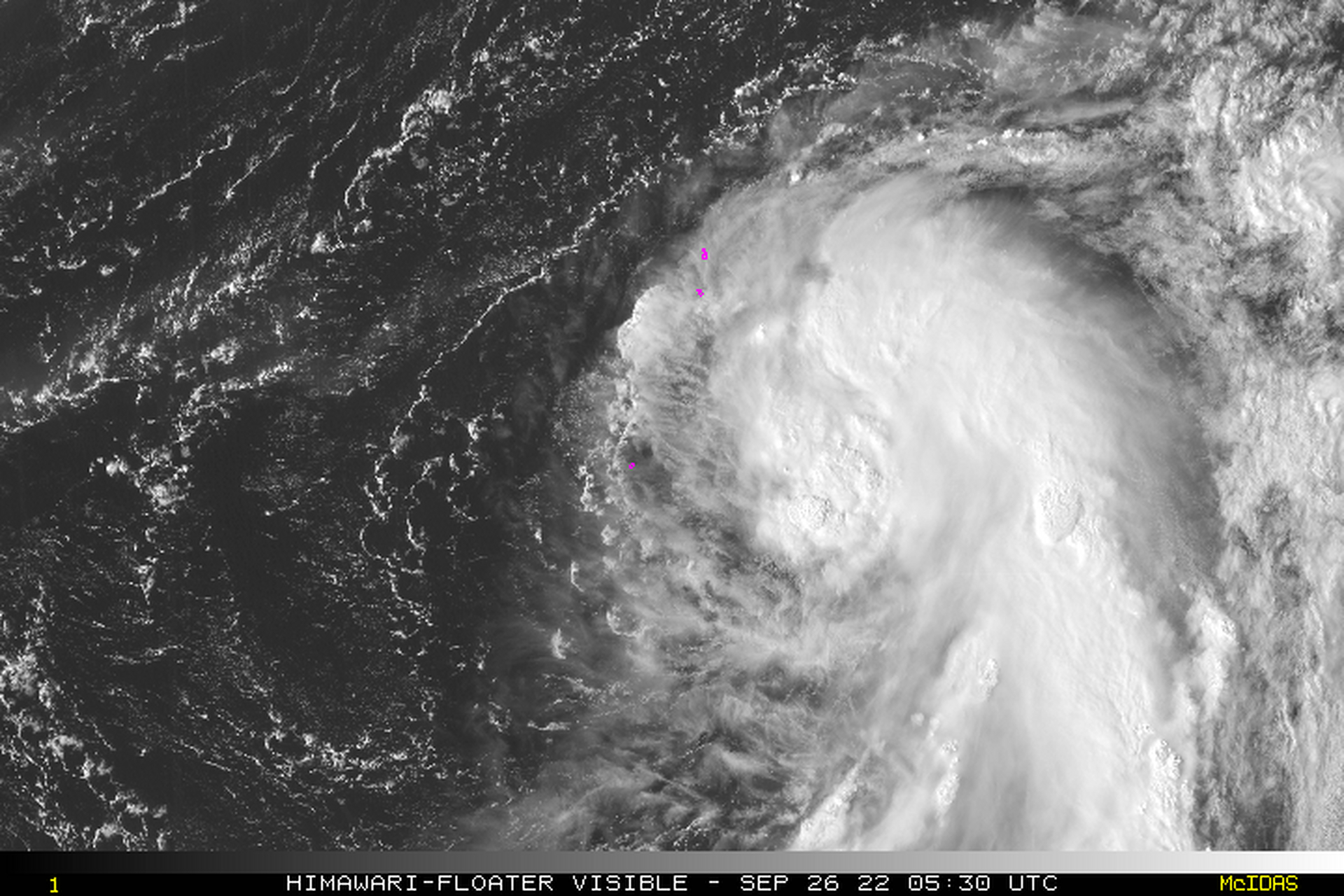 台风玫瑰# 台风"玫瑰"位于日本以南洋面  今年第17号台风"玫瑰"(强