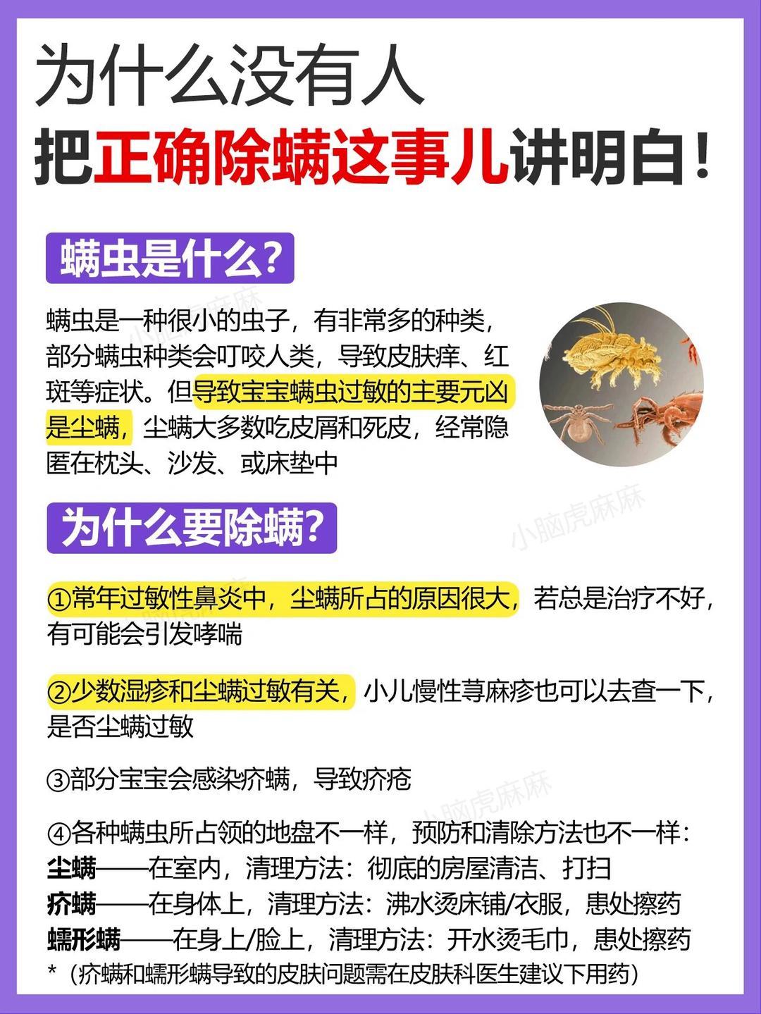 螨虫过敏怎么办图片