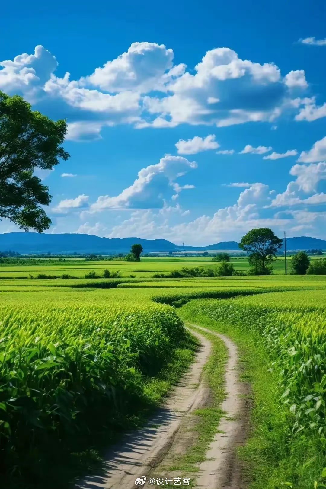 故乡的村庄,一片绿意盎然,让我心旷神怡.