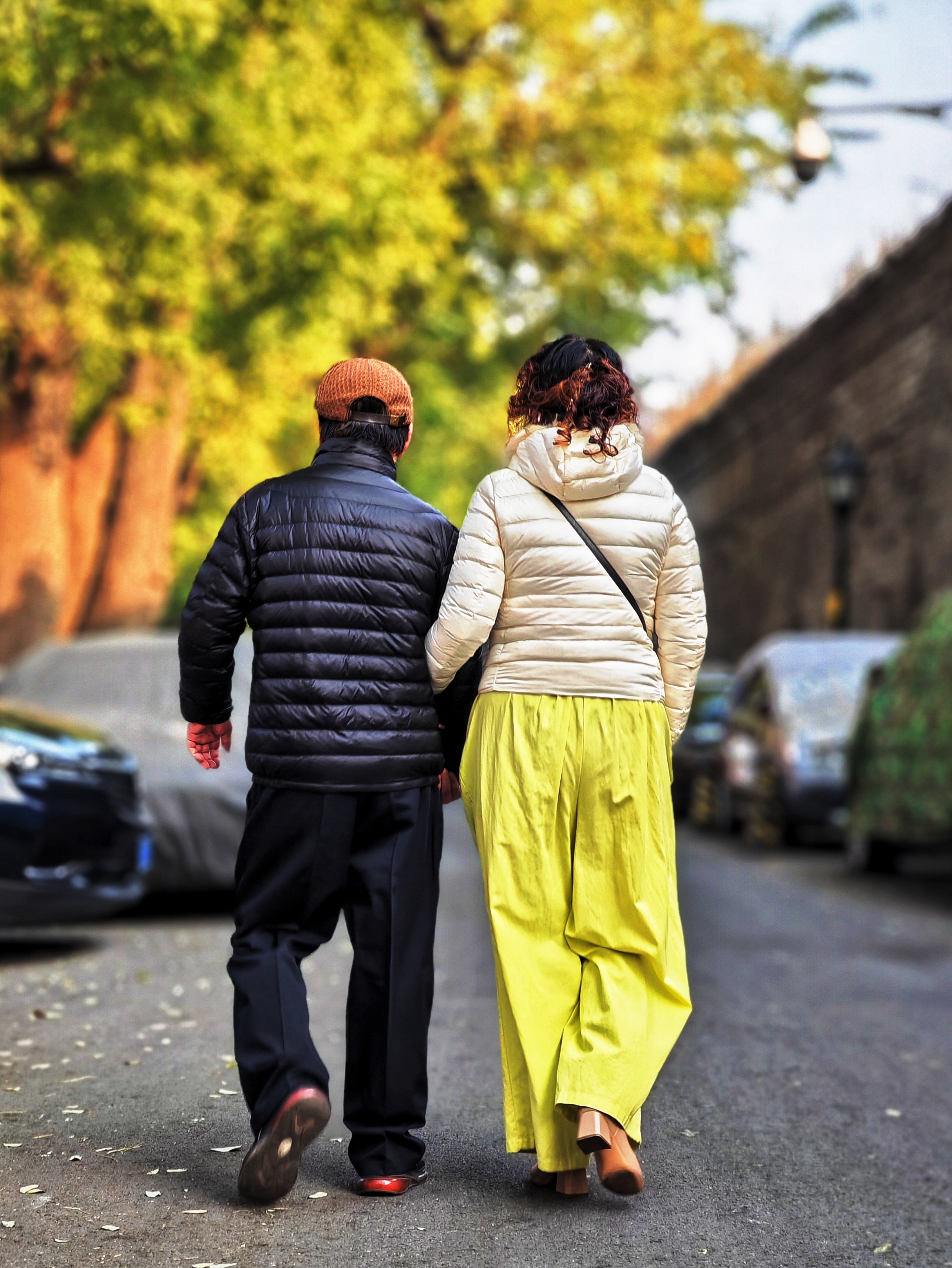 老两口每天恩恩爱爱相挽着在胡同里面遛弯,在图虫发表作品时我曾感叹