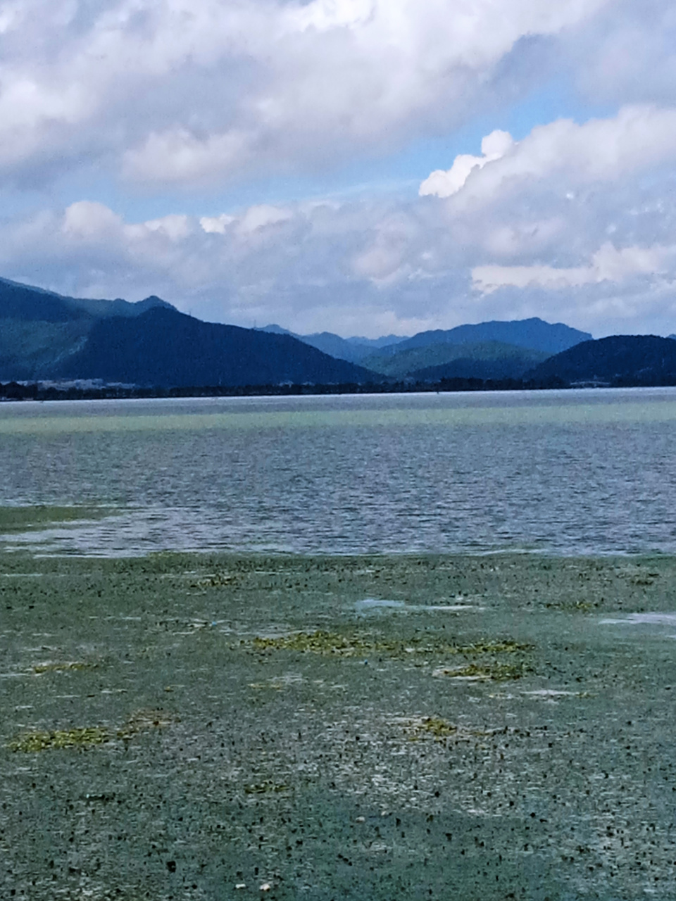 忍一时风平浪静,退一步海阔天空!