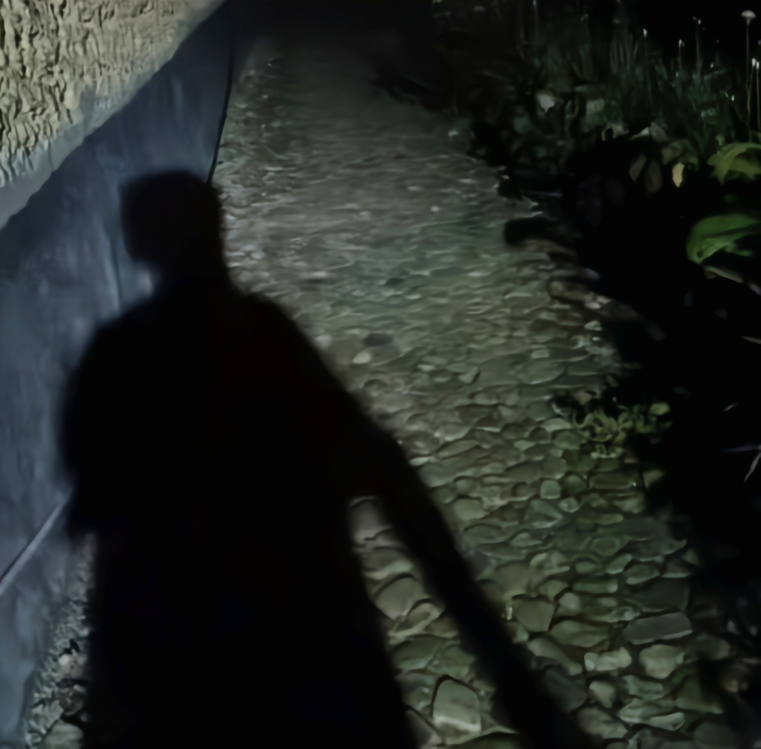 有棱角的未必阴毒,阴毒的一定没有棱角 表面上,他对