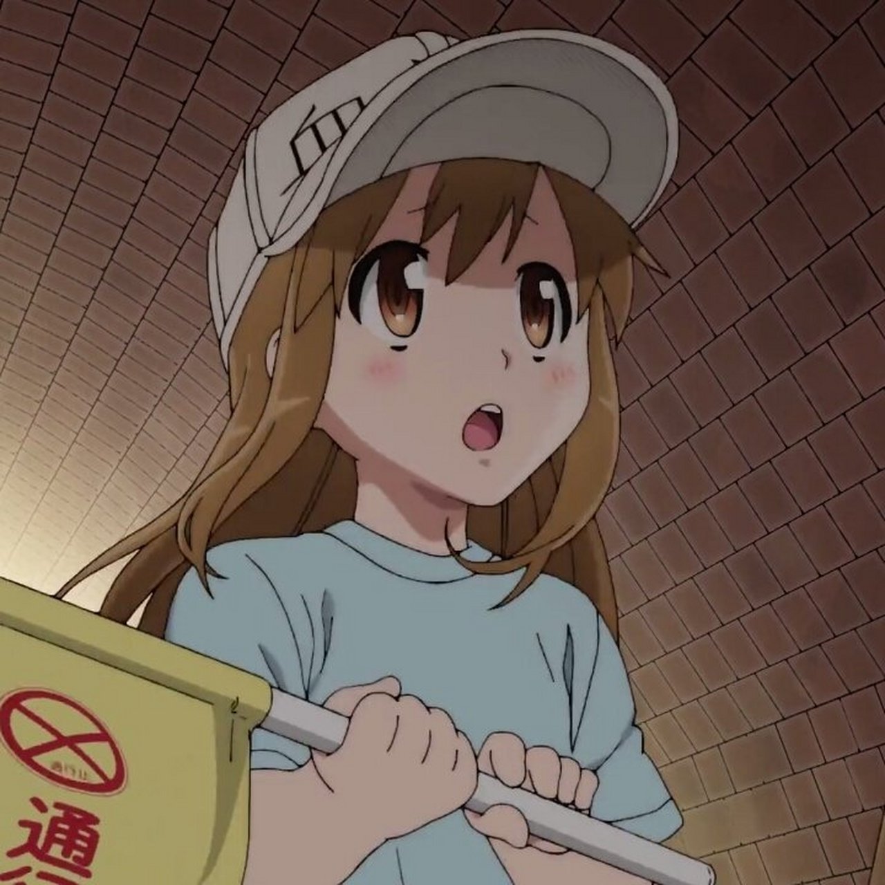 工作细胞血小板萌图第3弹