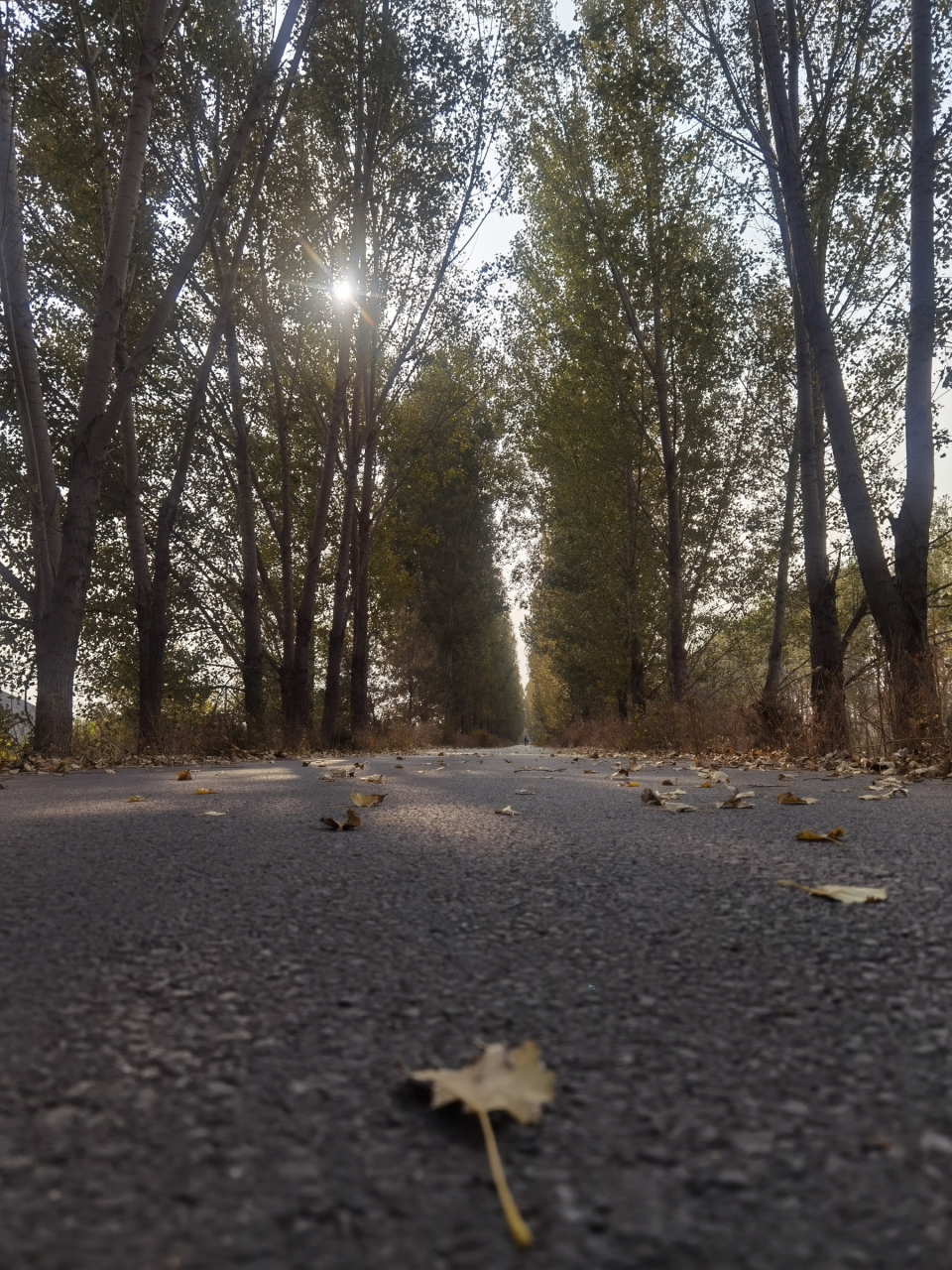 东汉时,浙江剡县人刘晨与阮肇在天台山因采药误入武陵溪,有缘遇见两位