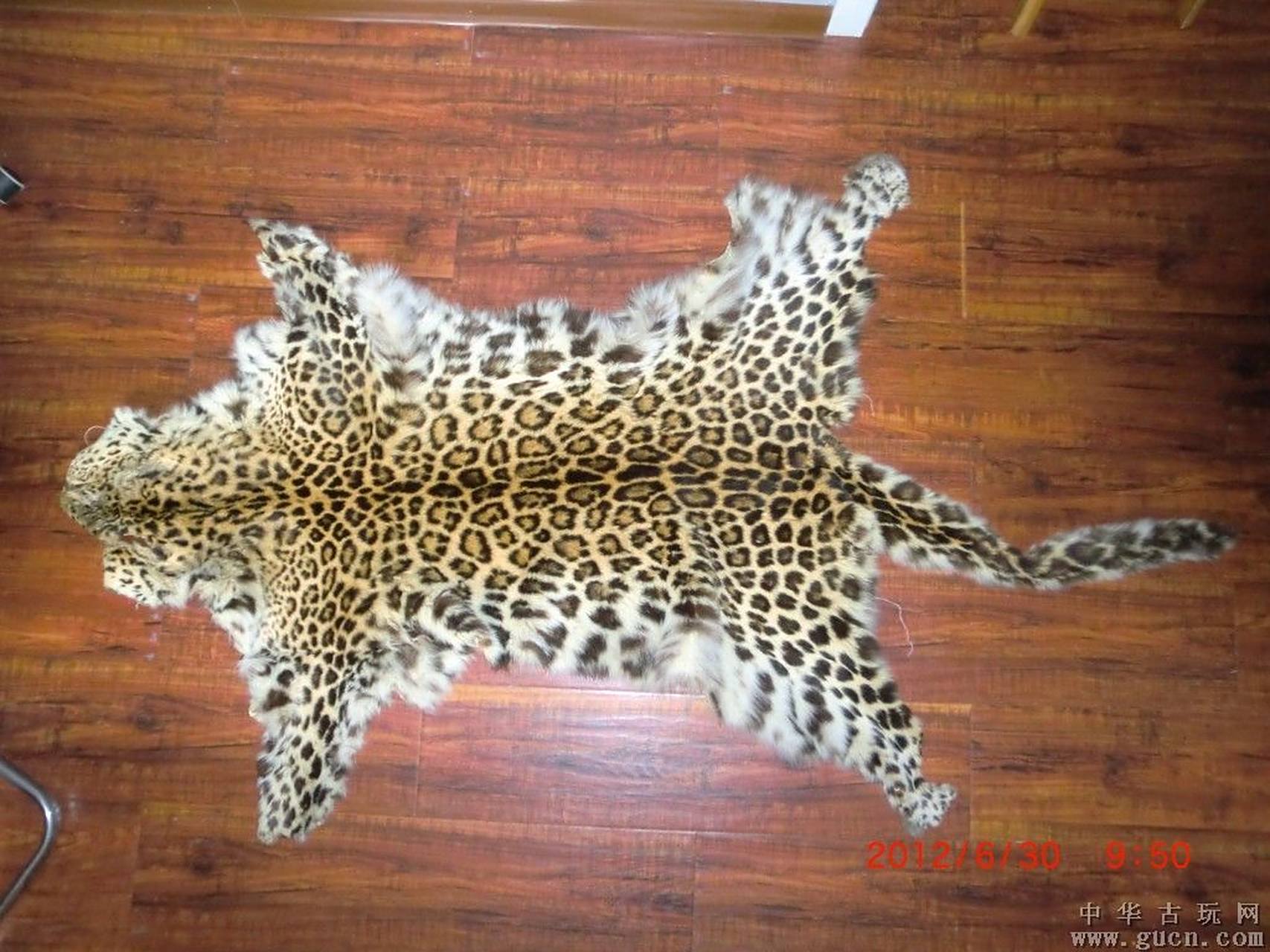 家有一张祖传的金钱豹皮褥子完整,有没有喜欢收藏的.