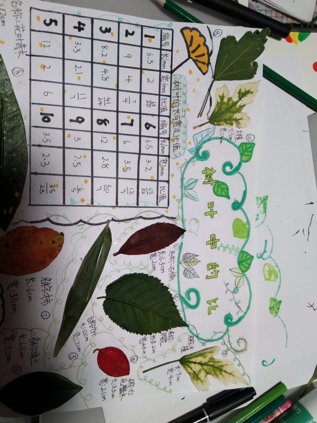 树叶中的比小报