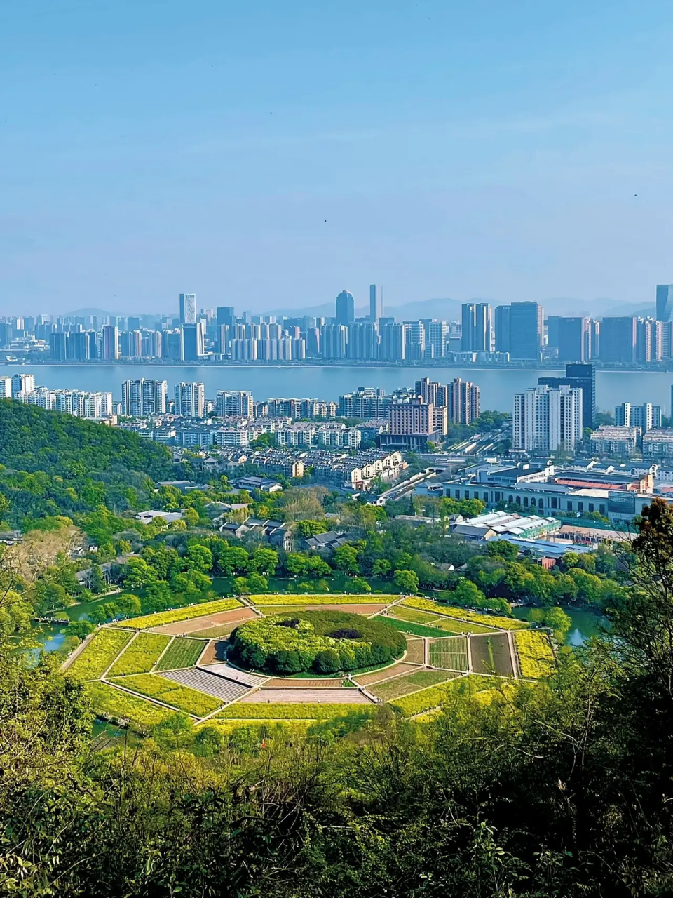 网上看到了一张网友发的图片,图片中杭州八卦田的外面已经是高楼大厦