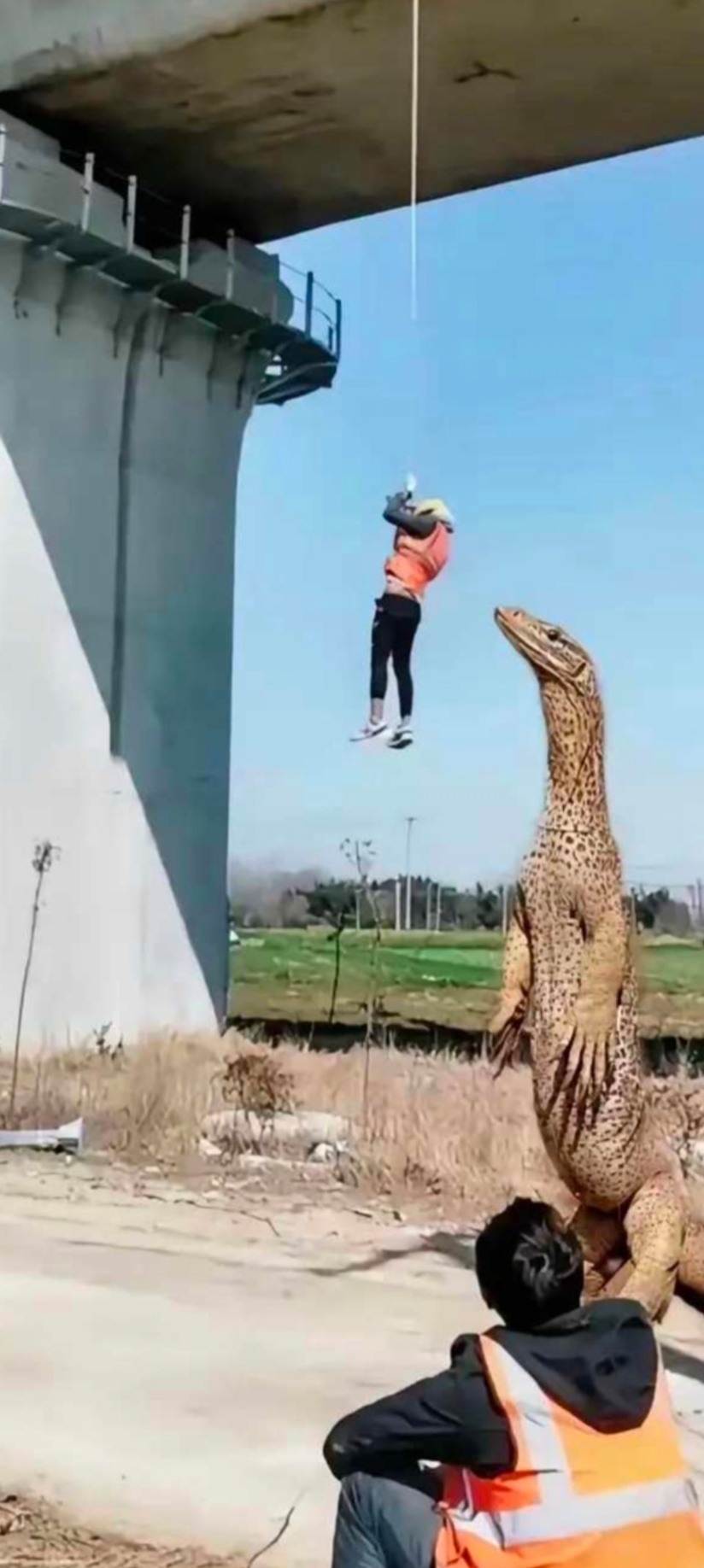 这只动物看到后赶快过来后帮忙,可还是束手无策,可下面这个小哥却坐在