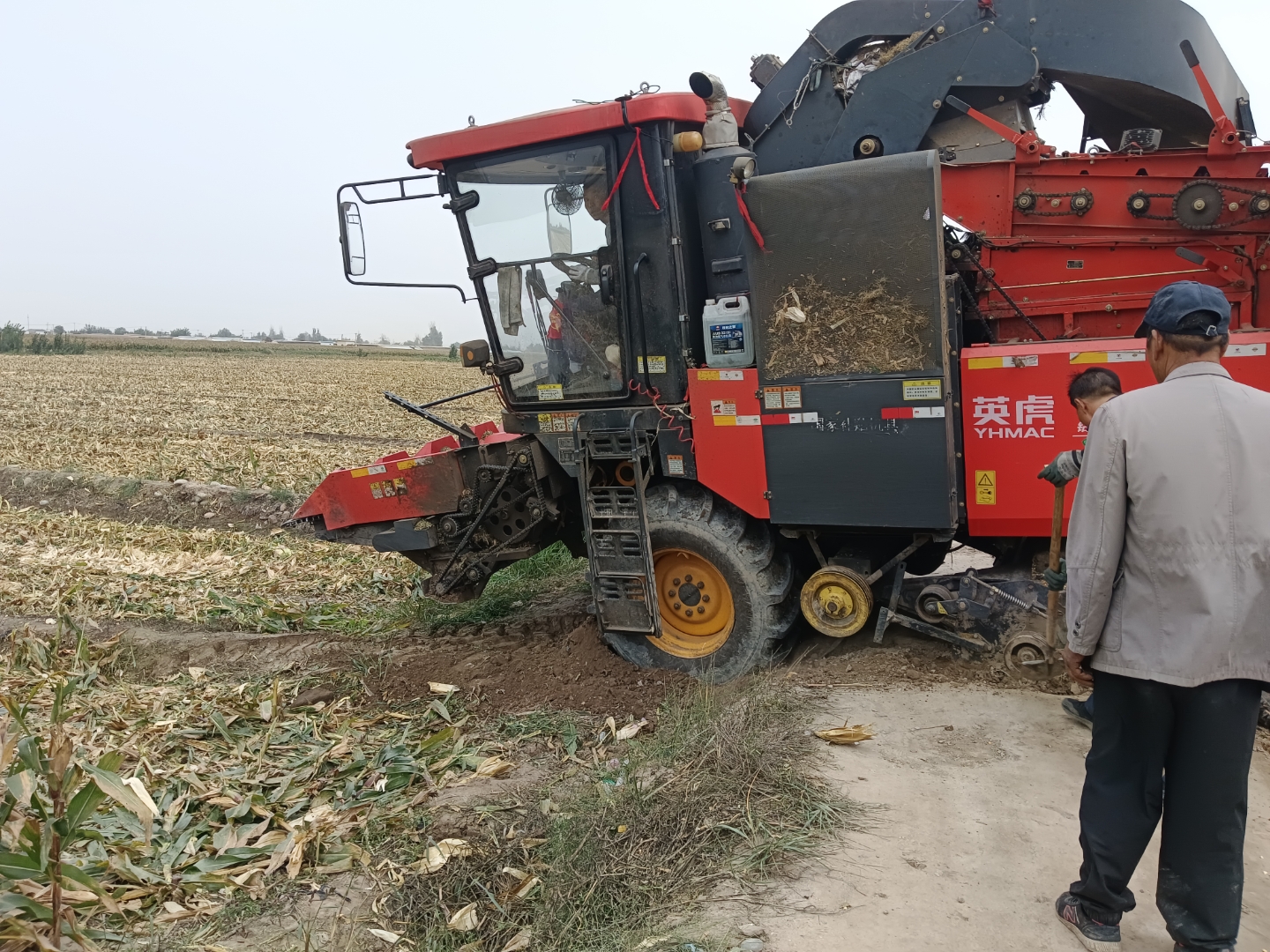 工作人员在田野里操作着大型机器,熟练地进行着农作物的收割工作