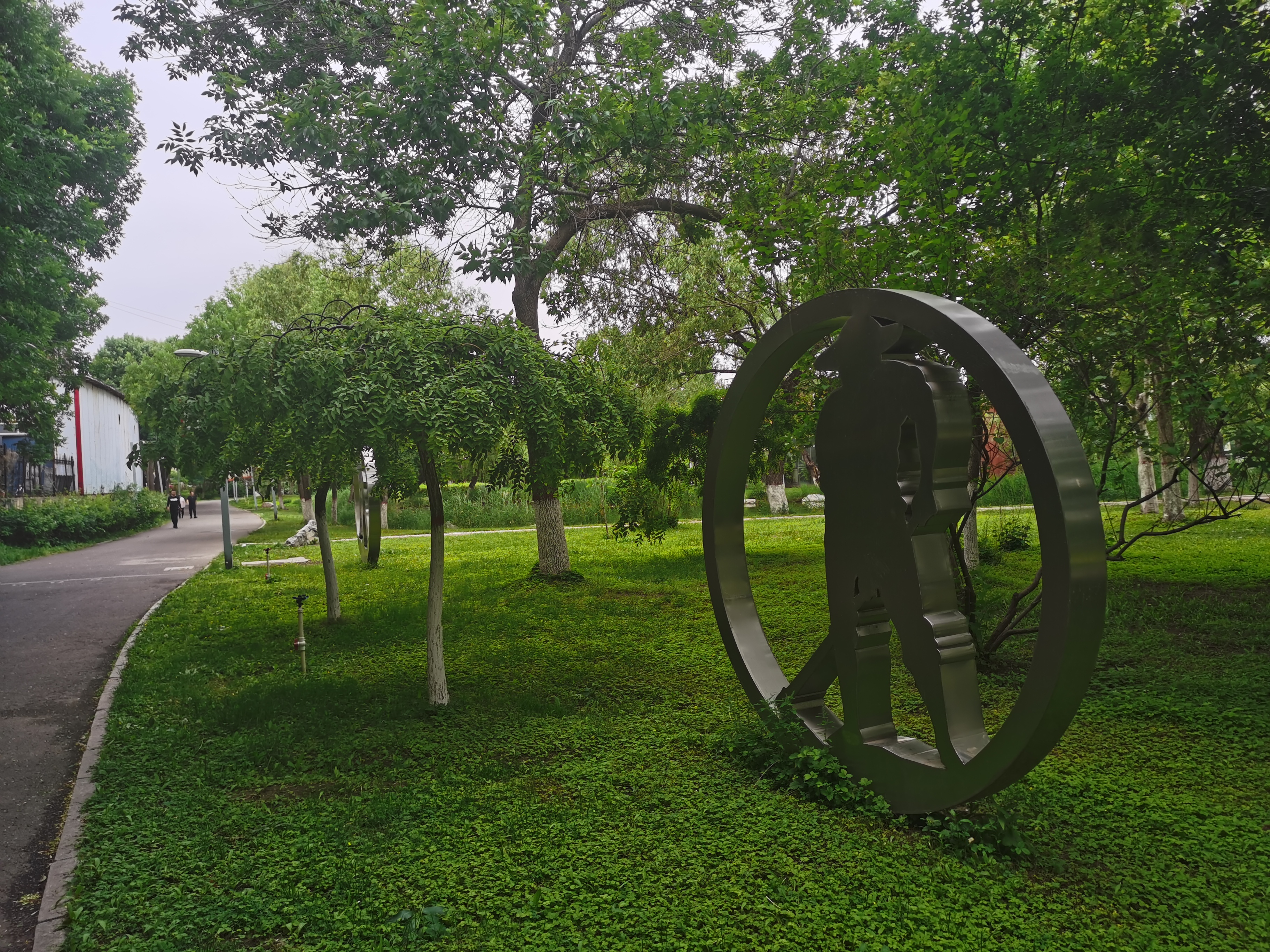 北寺公园主体是一个大湖-劳动湖,剩下的就是环湖1.