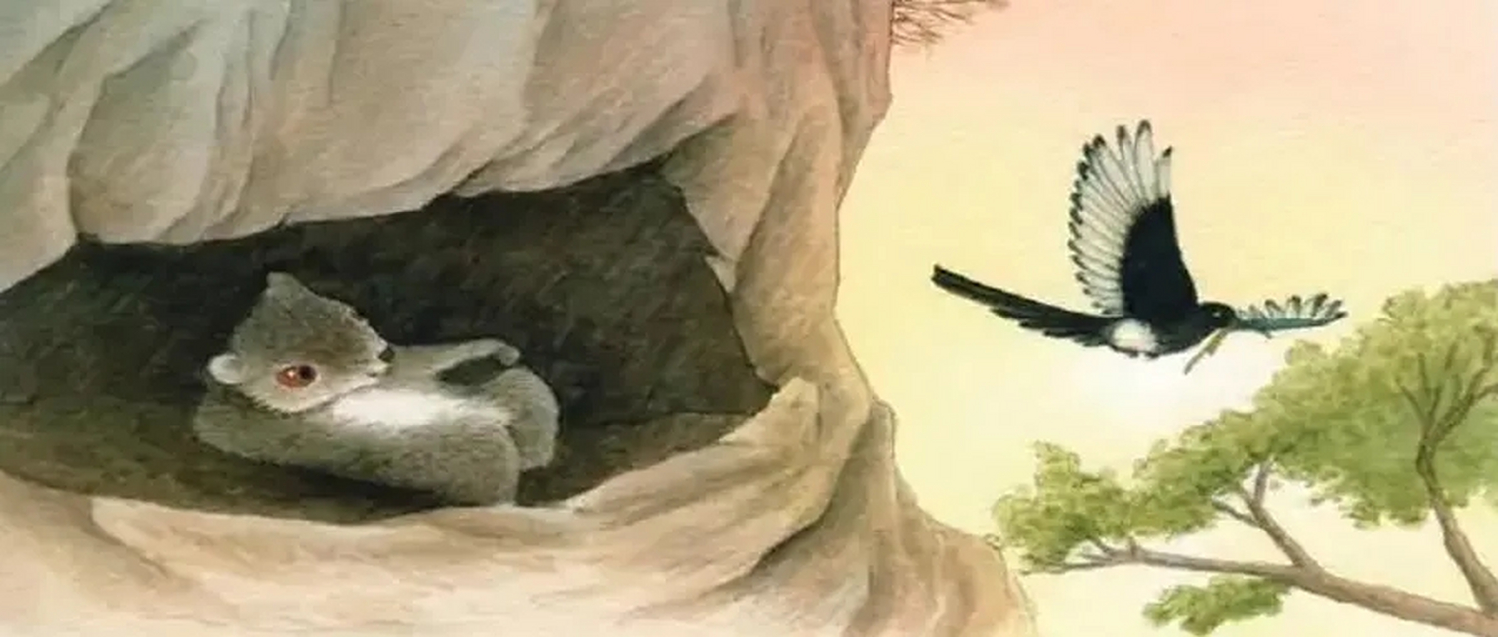 童声故事《寒号鸟》 [网页链接]