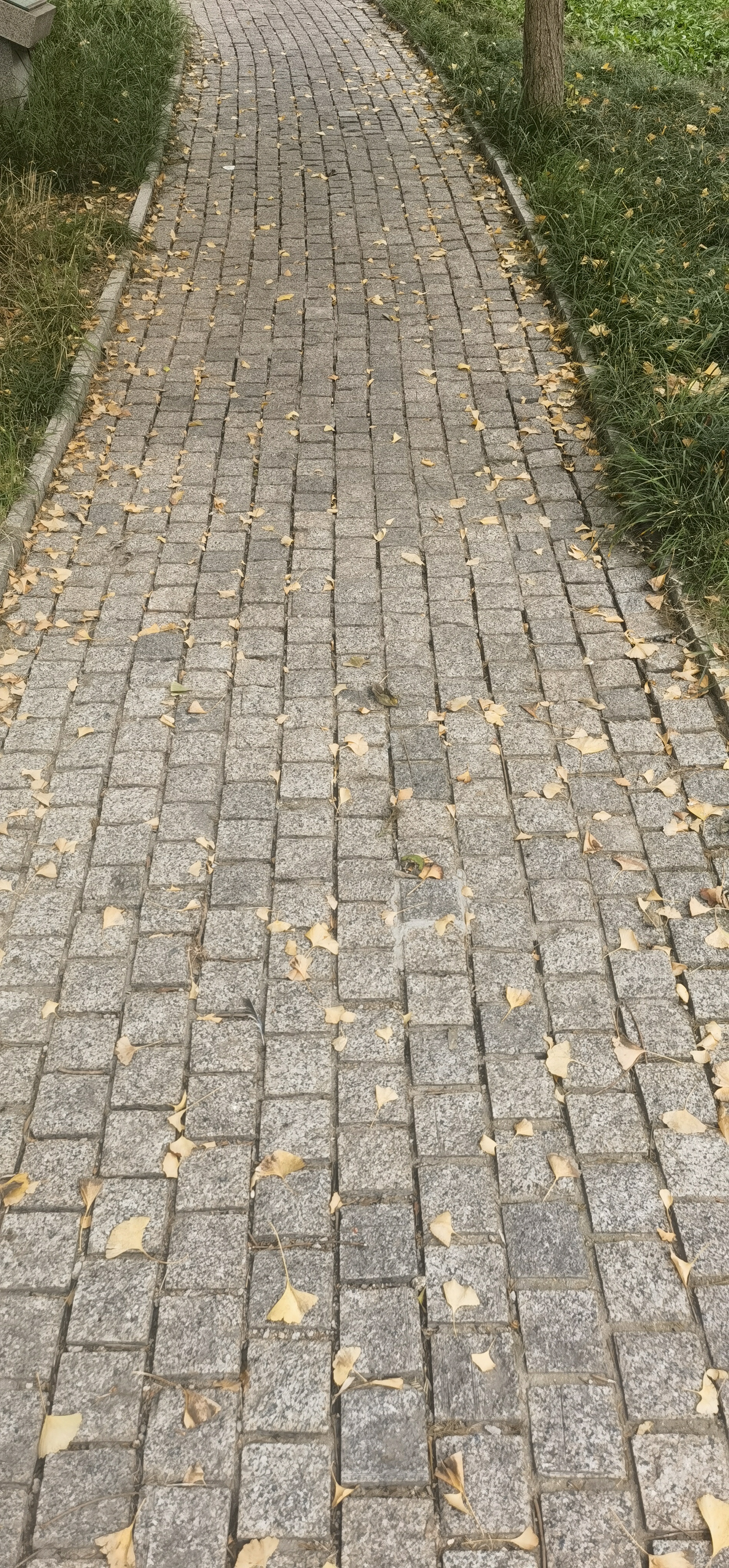 五莲花马蹄石# 五莲花马蹄石是一种以五莲花花岗岩为原料加工而成的