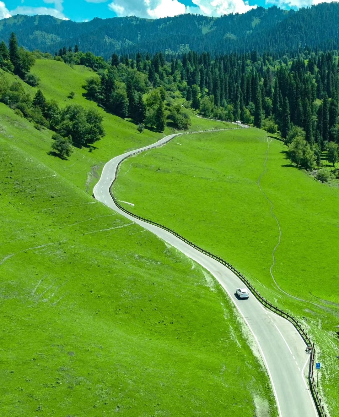笔直的公路穿越其中,两侧是茂密的森林和起伏的山地