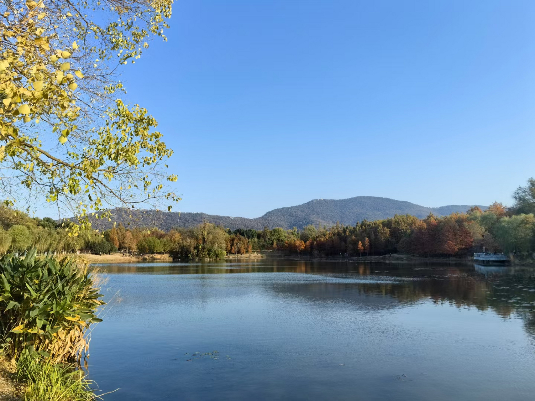 明孝陵是朱元璋和马皇后合葬的陵寝,位于南京市玄武区紫金山南麓独龙