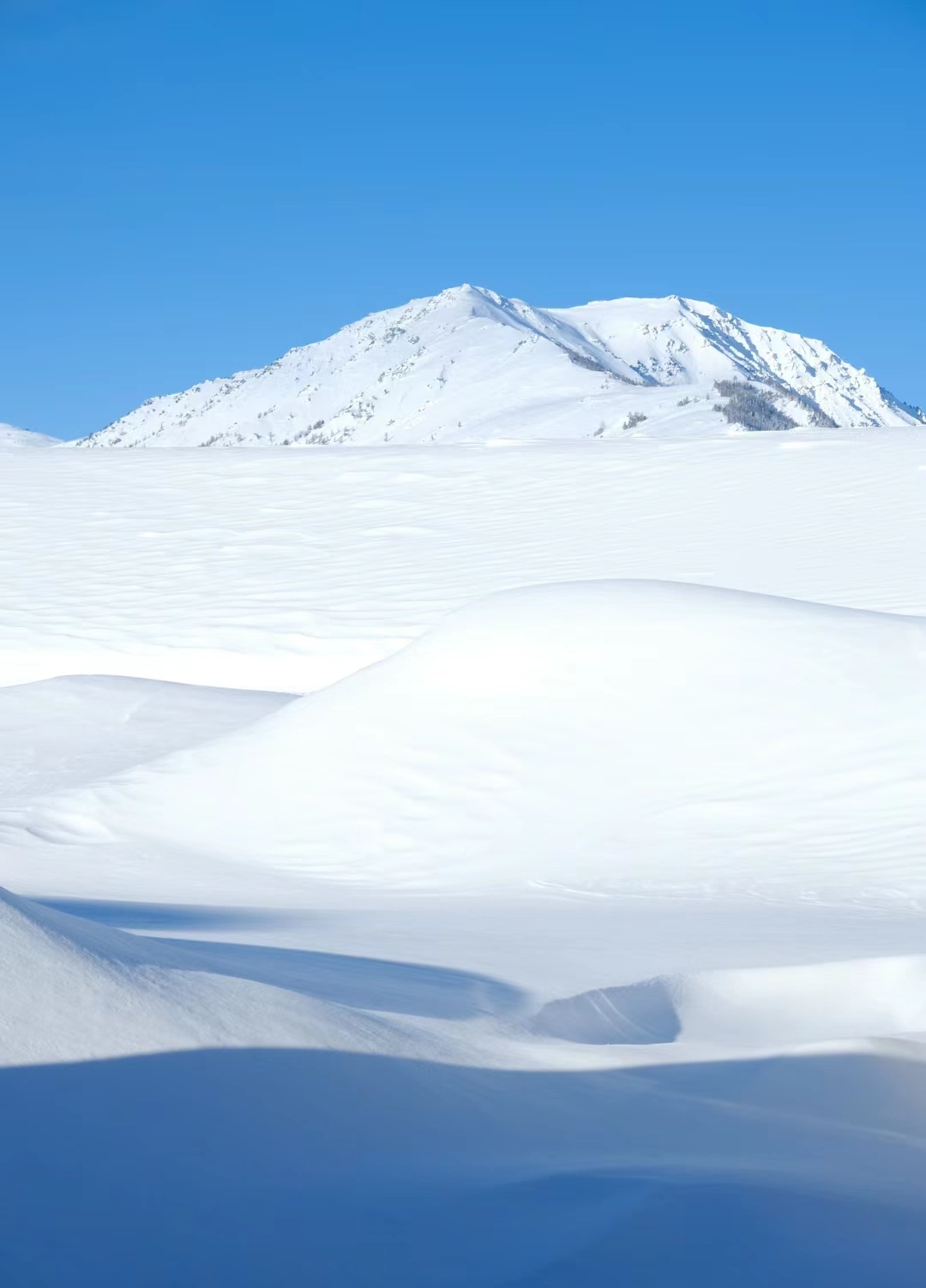 皑皑白雪天地为霜图片