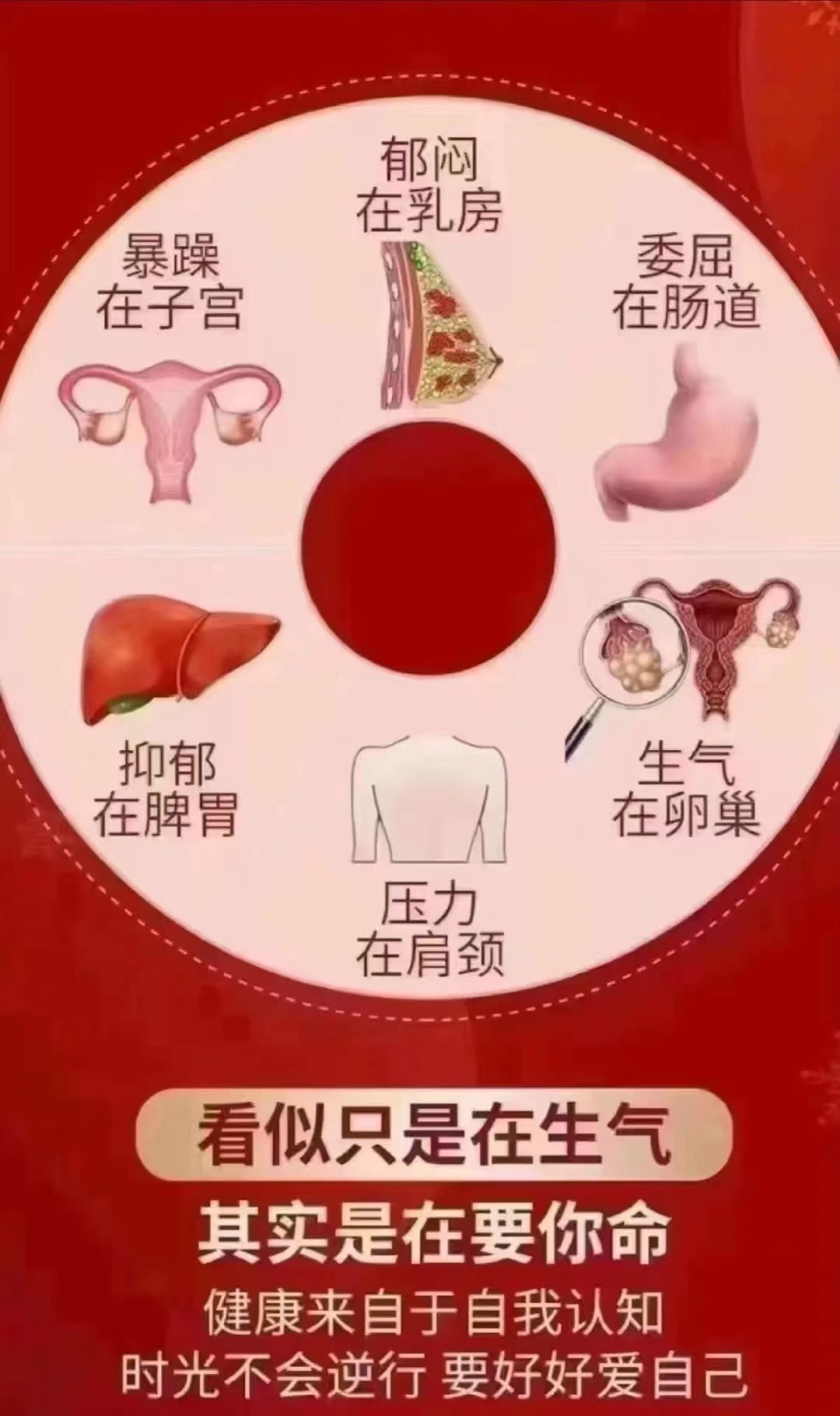 子宫和肠道的关系