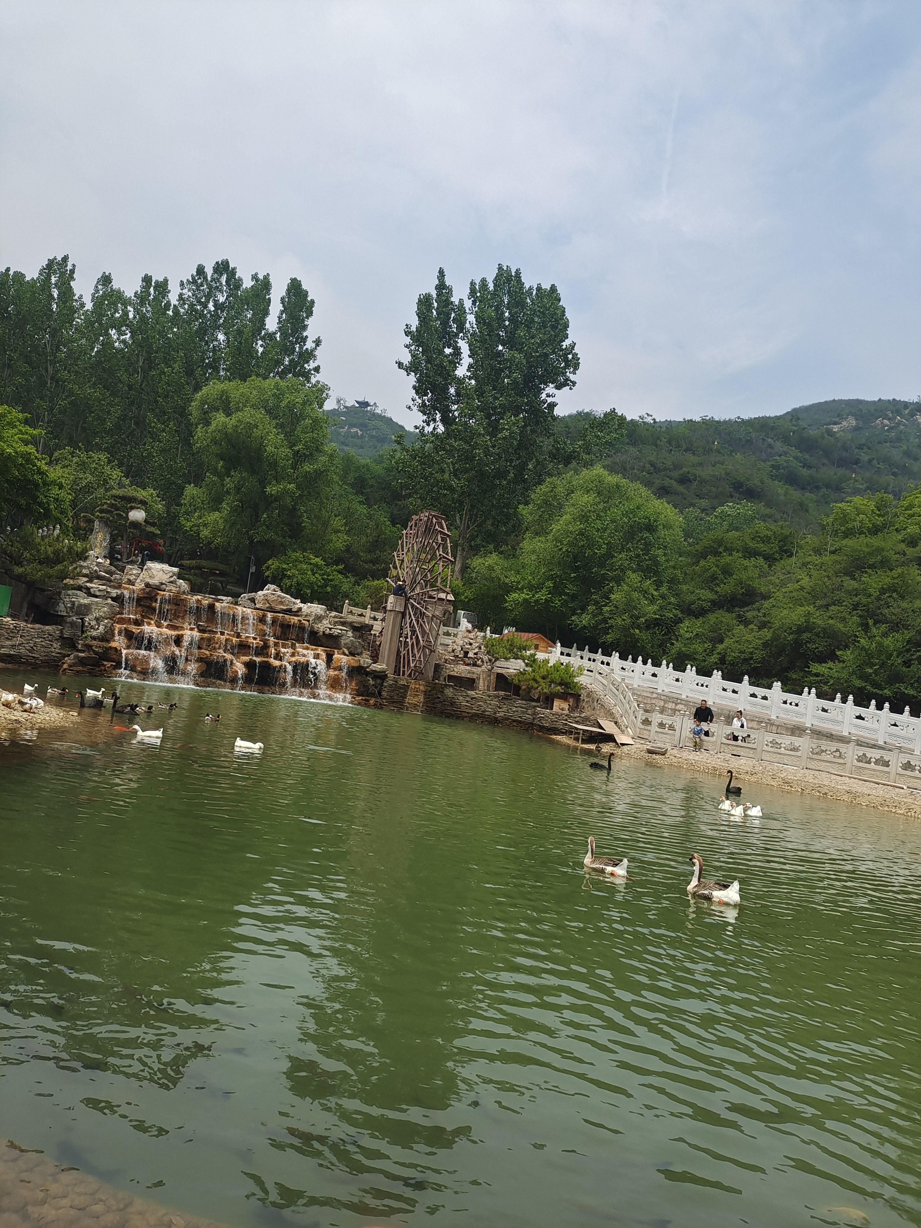 即使选择原谅,曾经的过往就像一根刺埋在某处,偶尔还