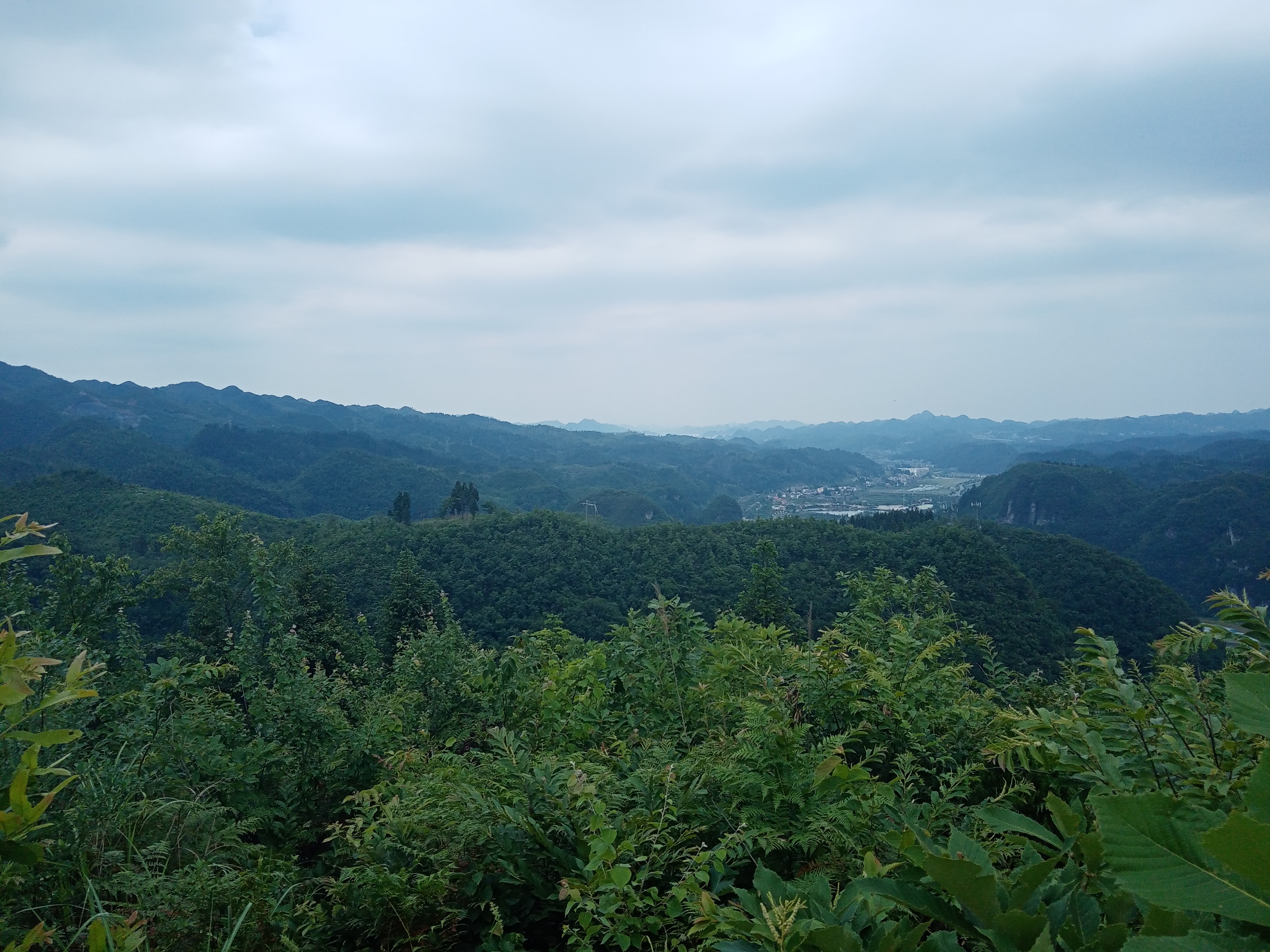 六月游织金城南凤凰山风景区