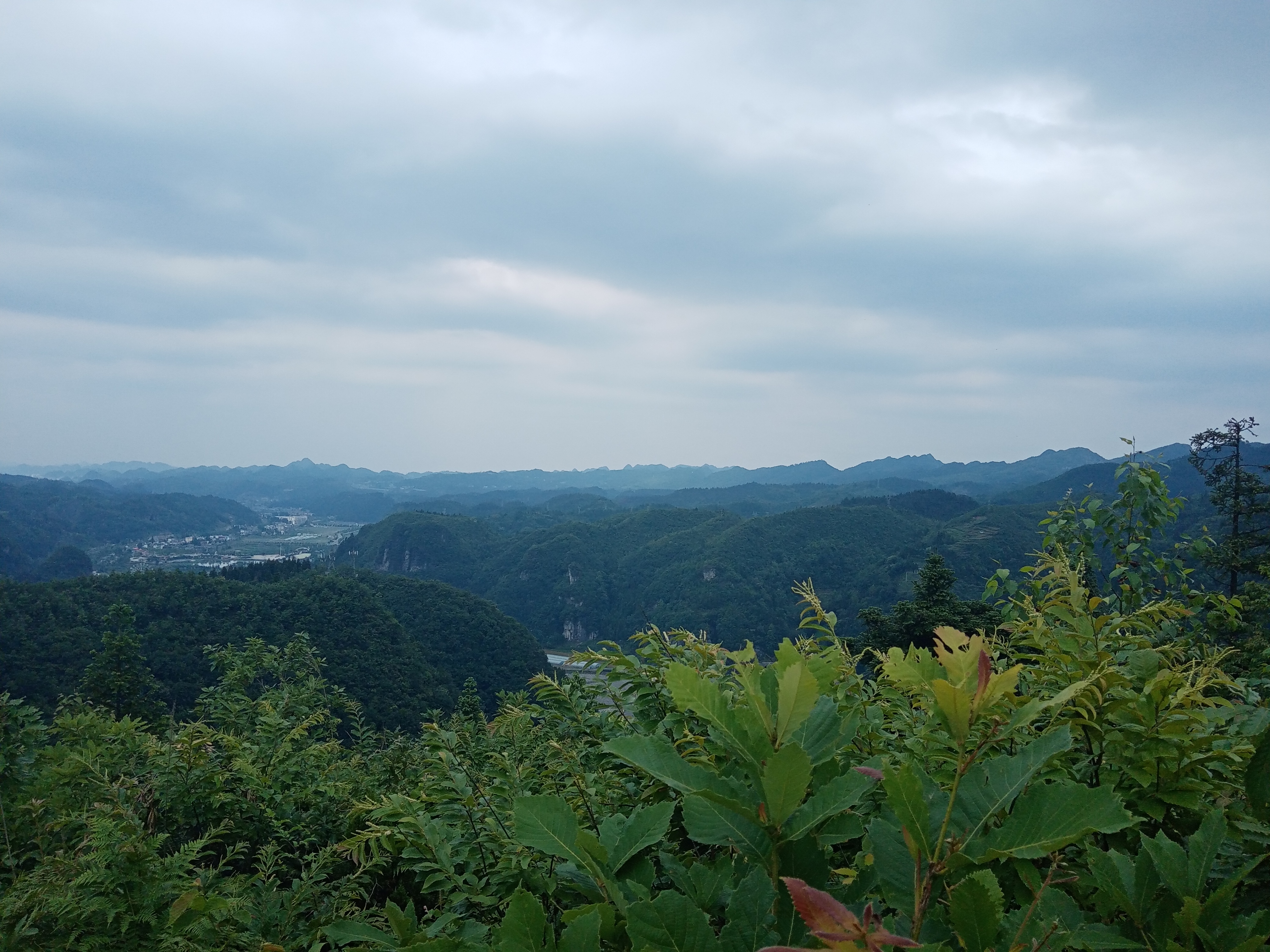 六月游织金城南凤凰山风景区