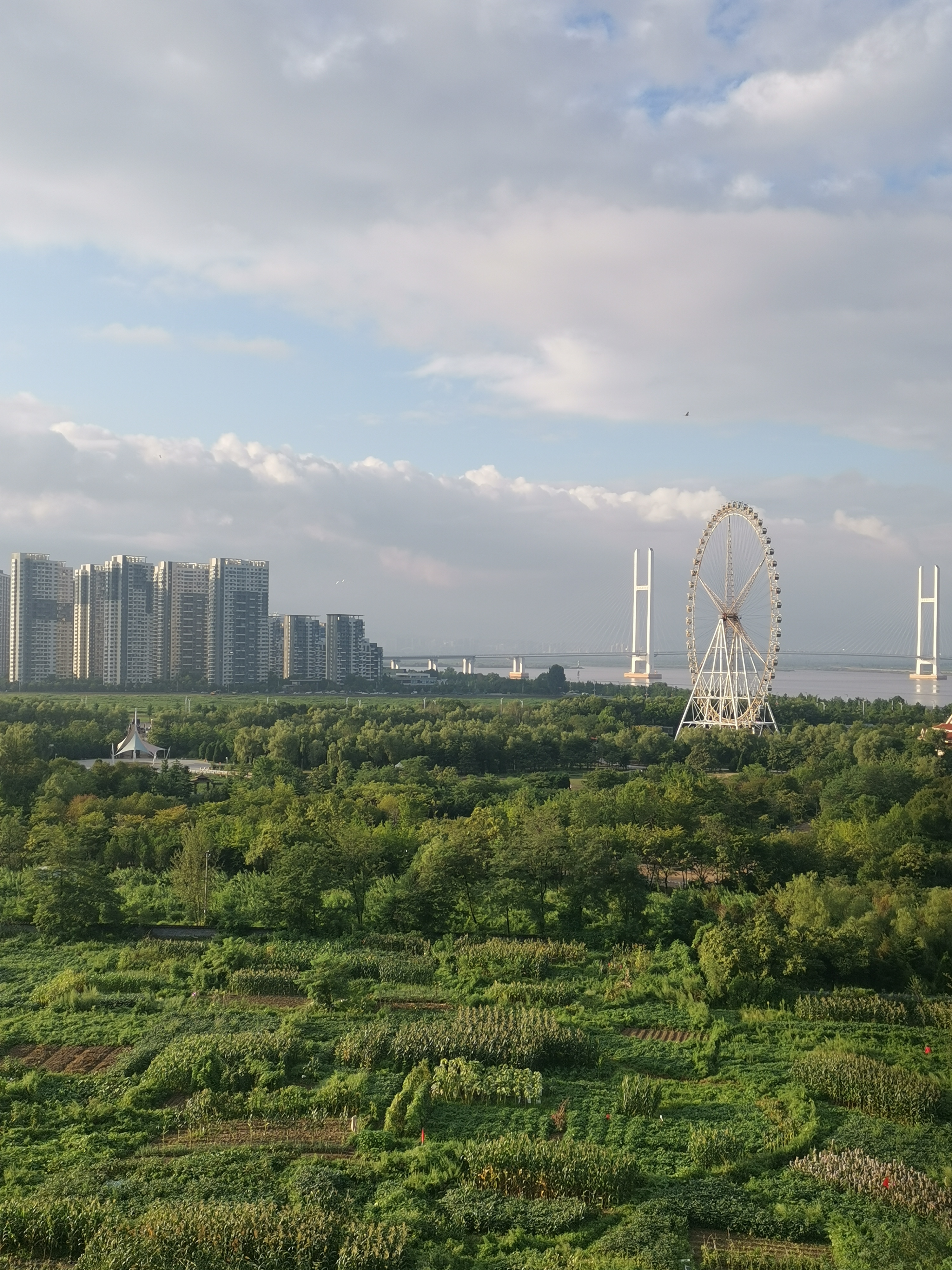 夫妻间一定要有相互培养教育,相互督促提醒,相互提升