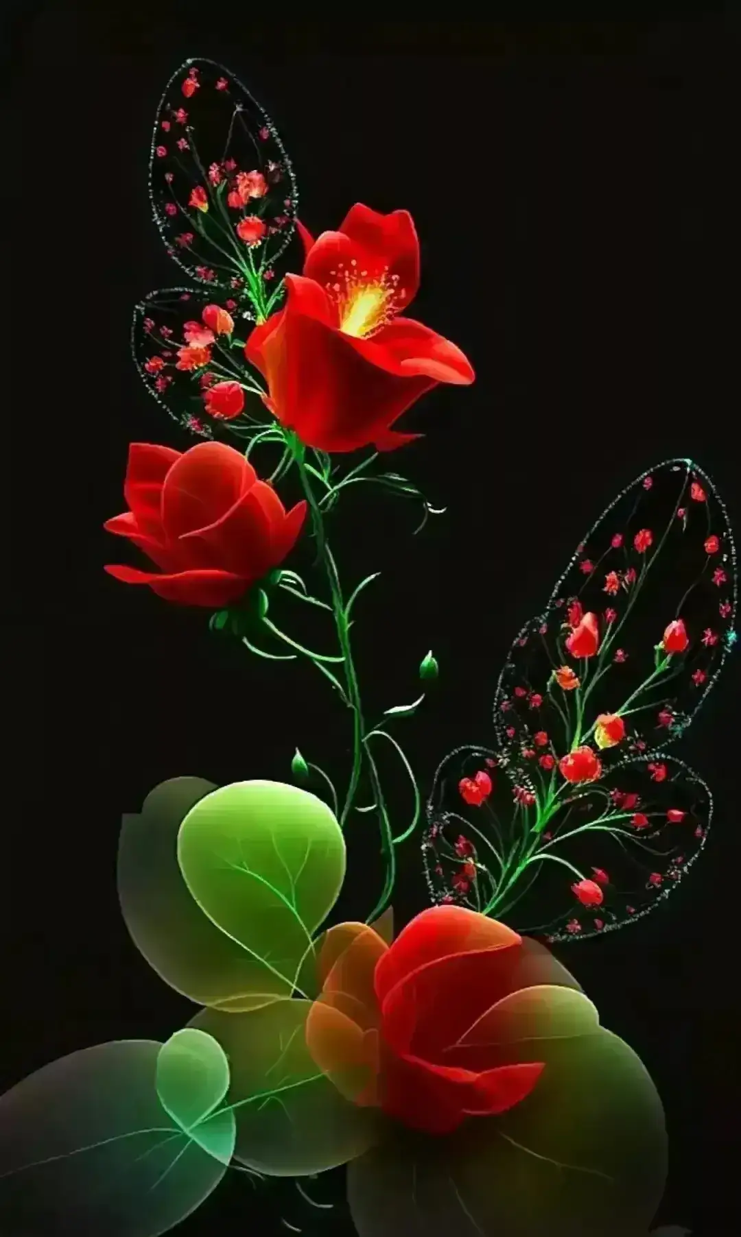 🦋🦋  我曾近距离地观察过这些玫瑰,它们的红色花瓣在黑色的背景