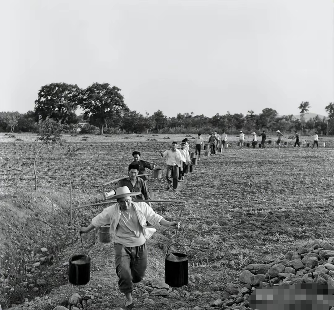 一张老照片,六十年代末,一位县委书记带领广大干部到农村担水抗旱.