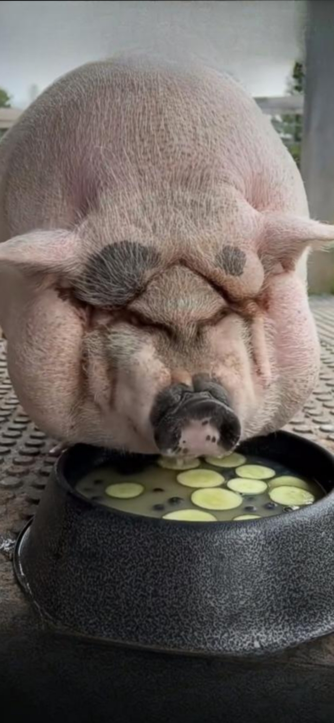 难道您看不出来这明显就是旺夫相吗?