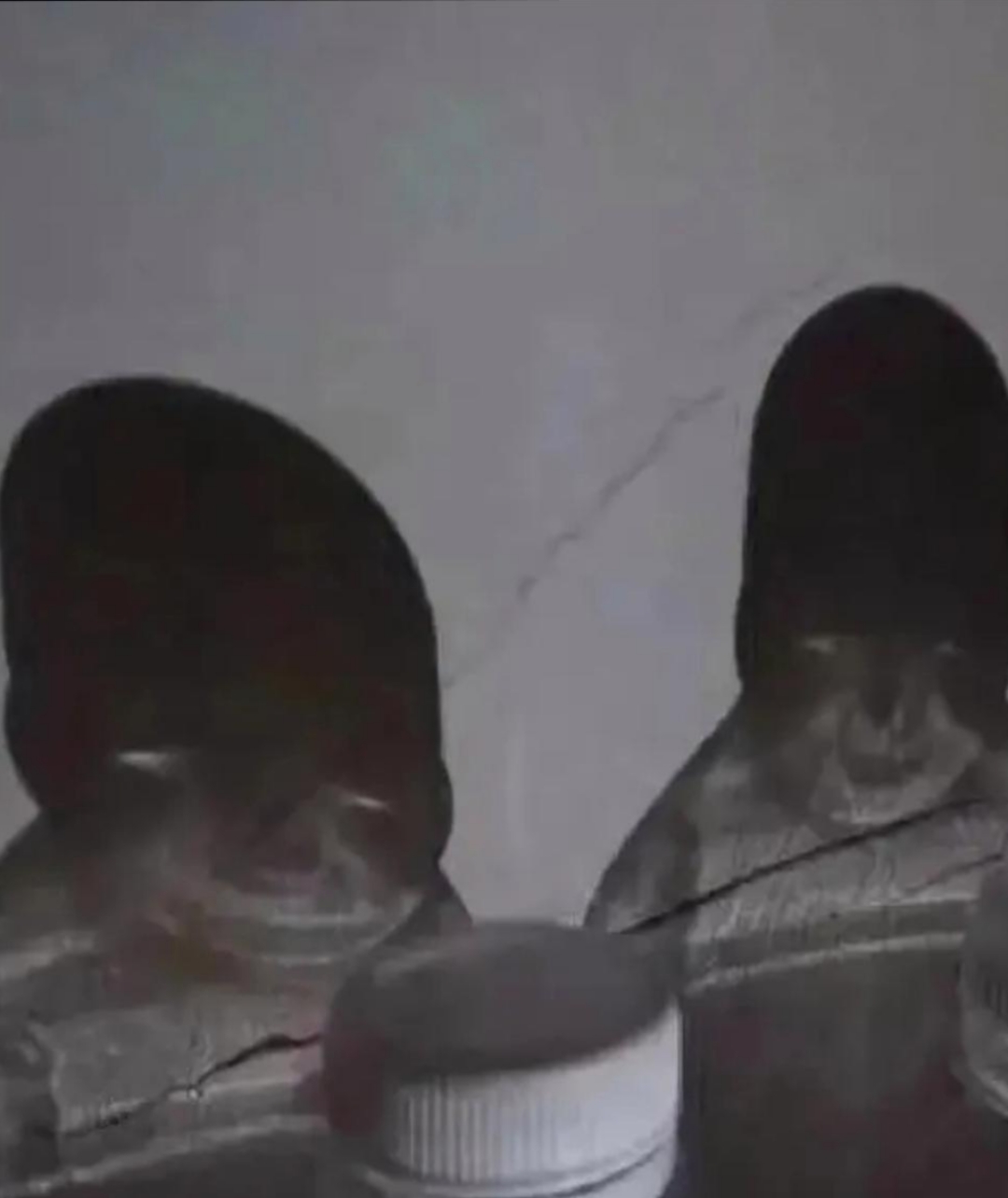 突然之间,不知遭遇了什么,吓得我心都快蹦出来了,整个人都魂飞魄散