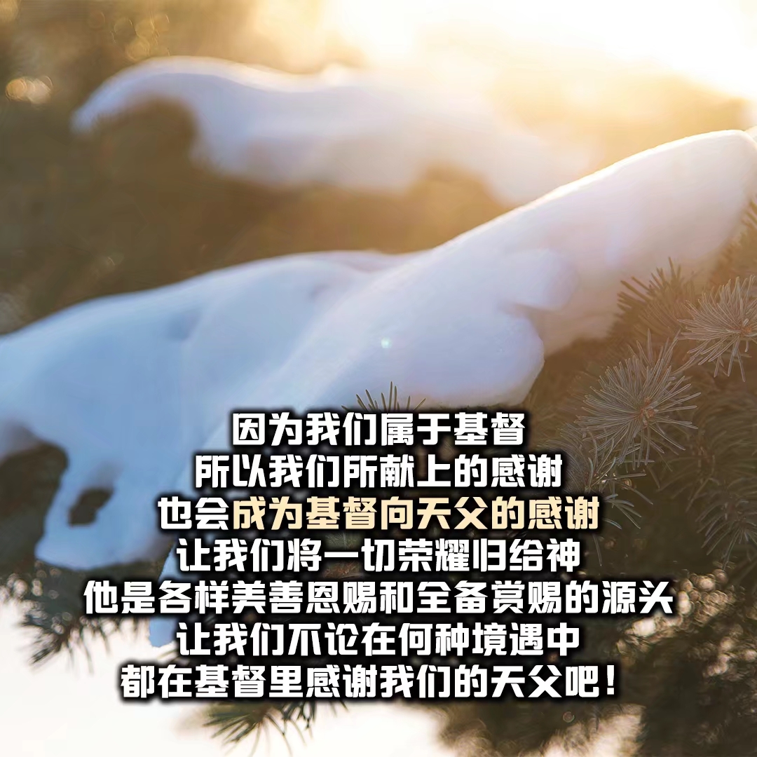 一定要信仰基督教才能得救吗(信仰基督教有用吗)