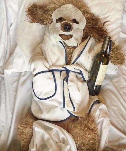 红酒可以敷脸吗(红酒可以用来敷面膜吗) 红酒可以敷脸吗(红酒可以用来敷面膜吗)