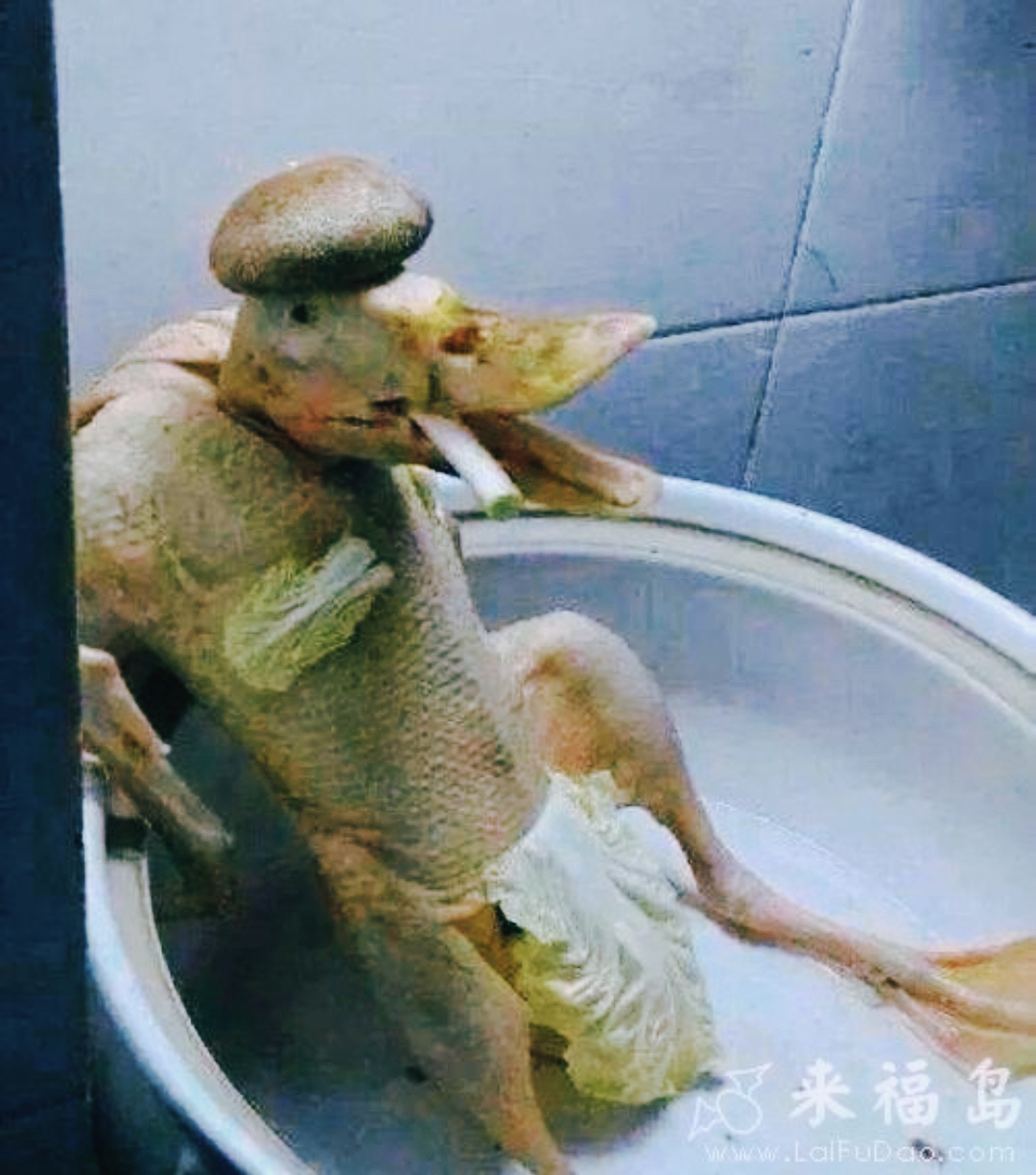 更搞笑的画面来了,这主人特有想像力能将杀掉的鸭子设计像人一样的